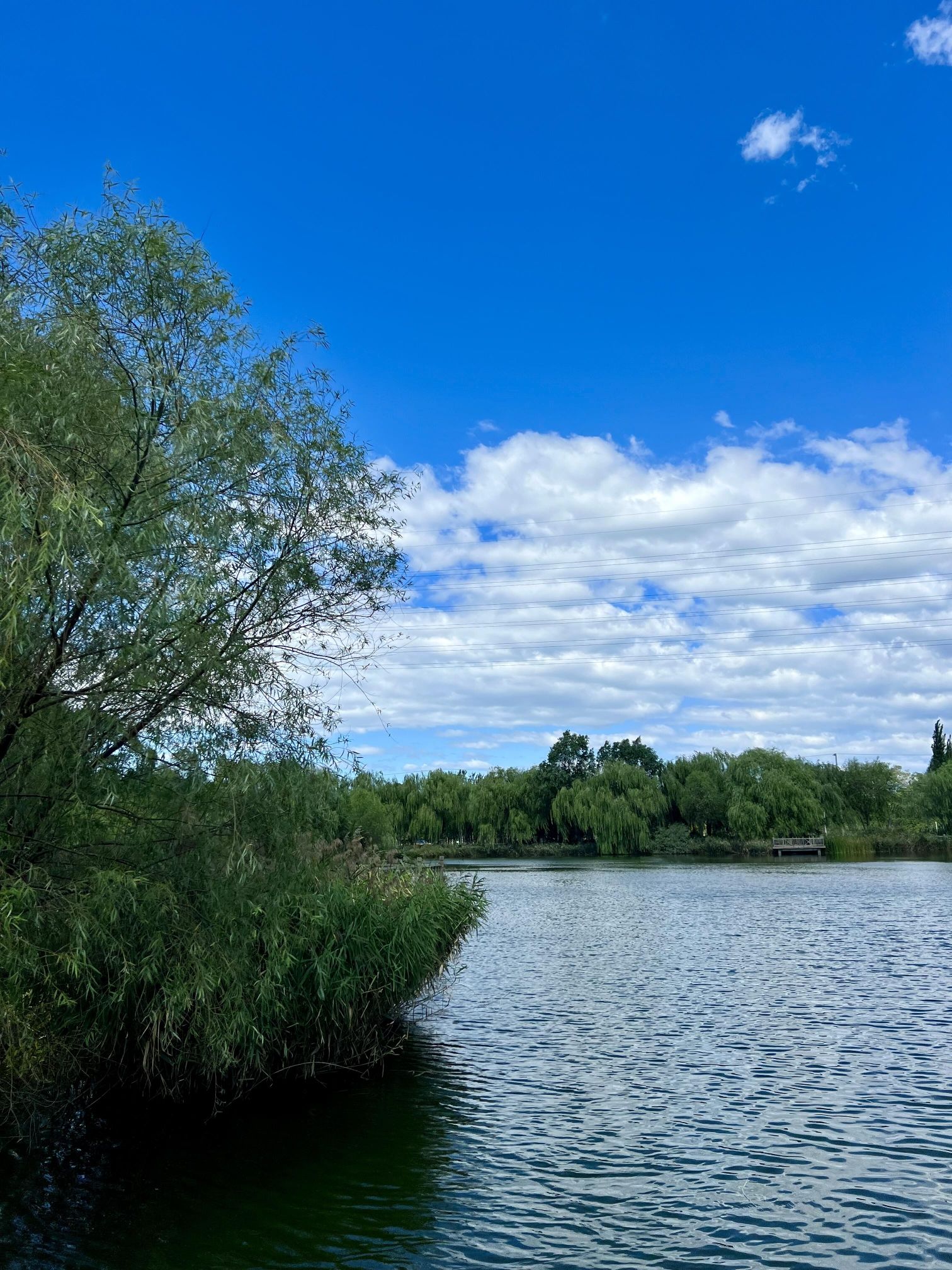 杨各庄湿地公园旅行图片 1