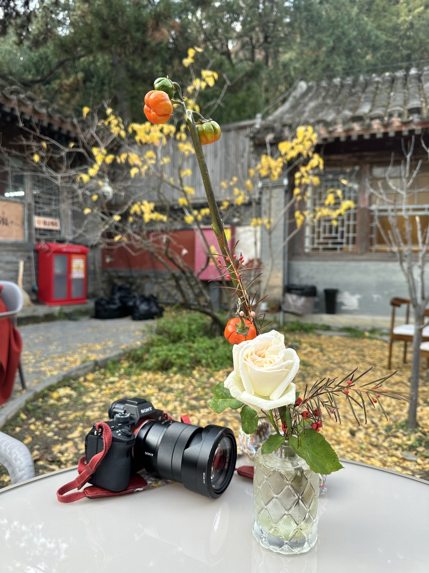 梨树院旅行图片 2