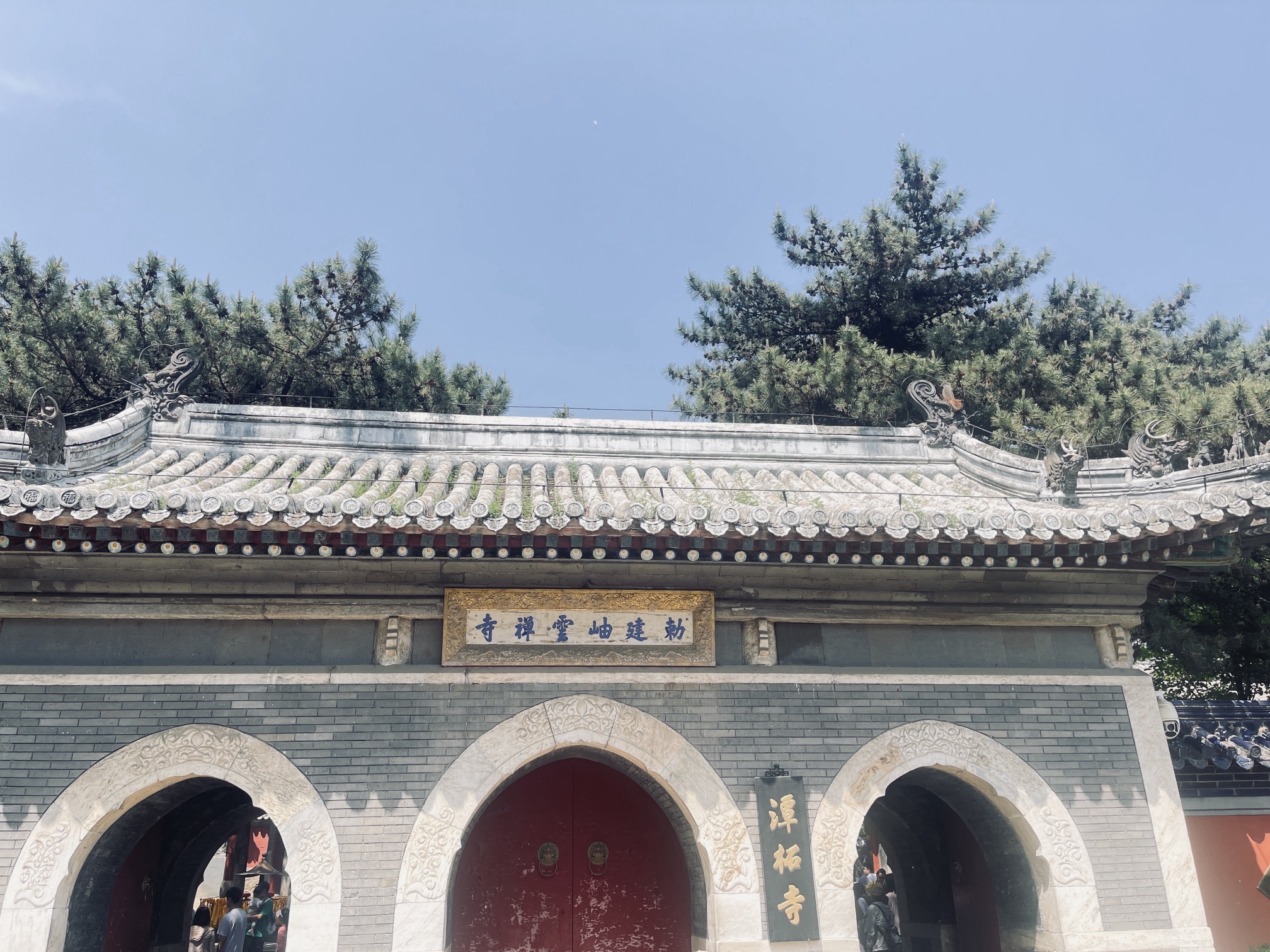 梨树院旅行图片 2