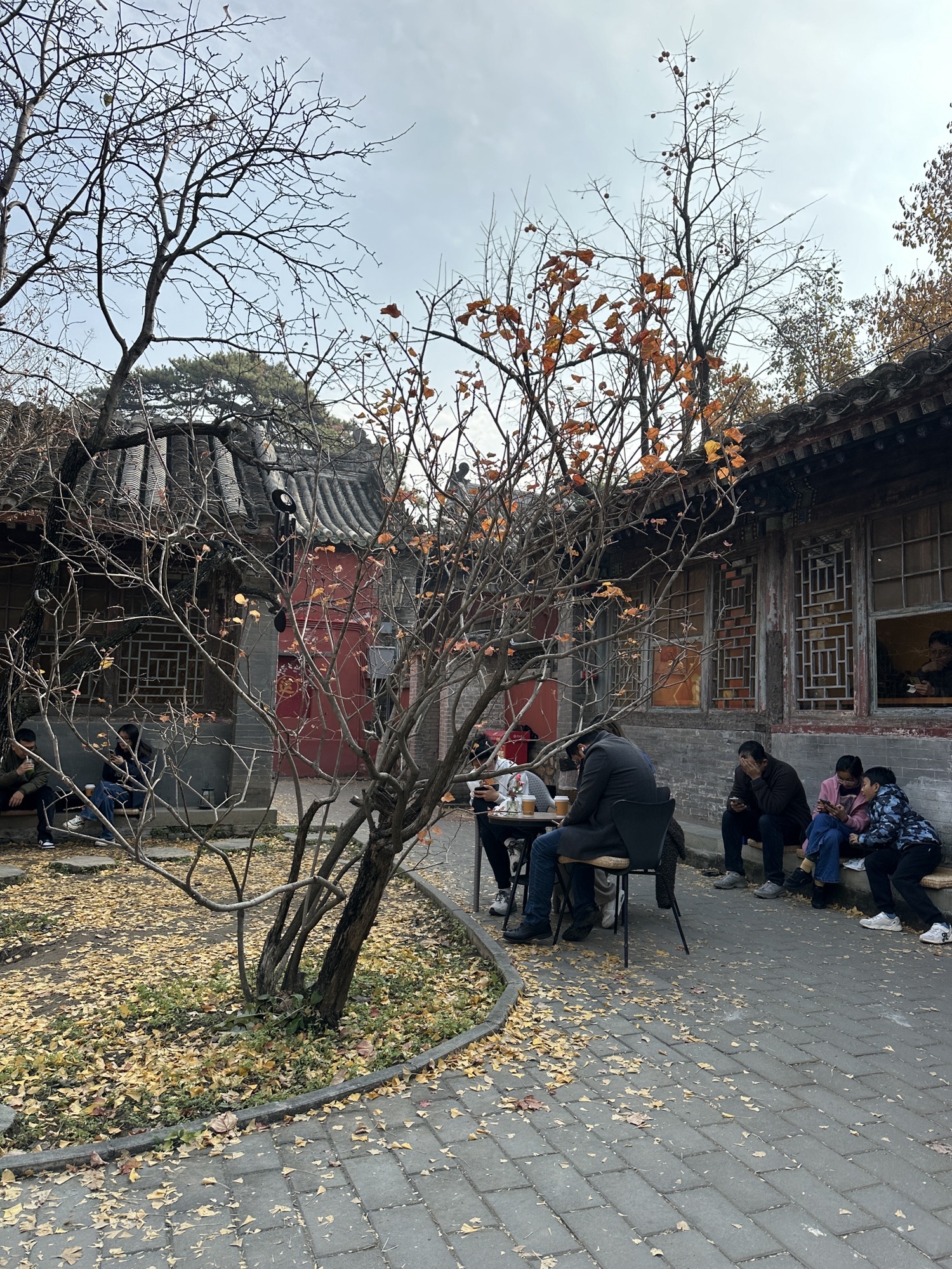 梨树院旅行图片 3