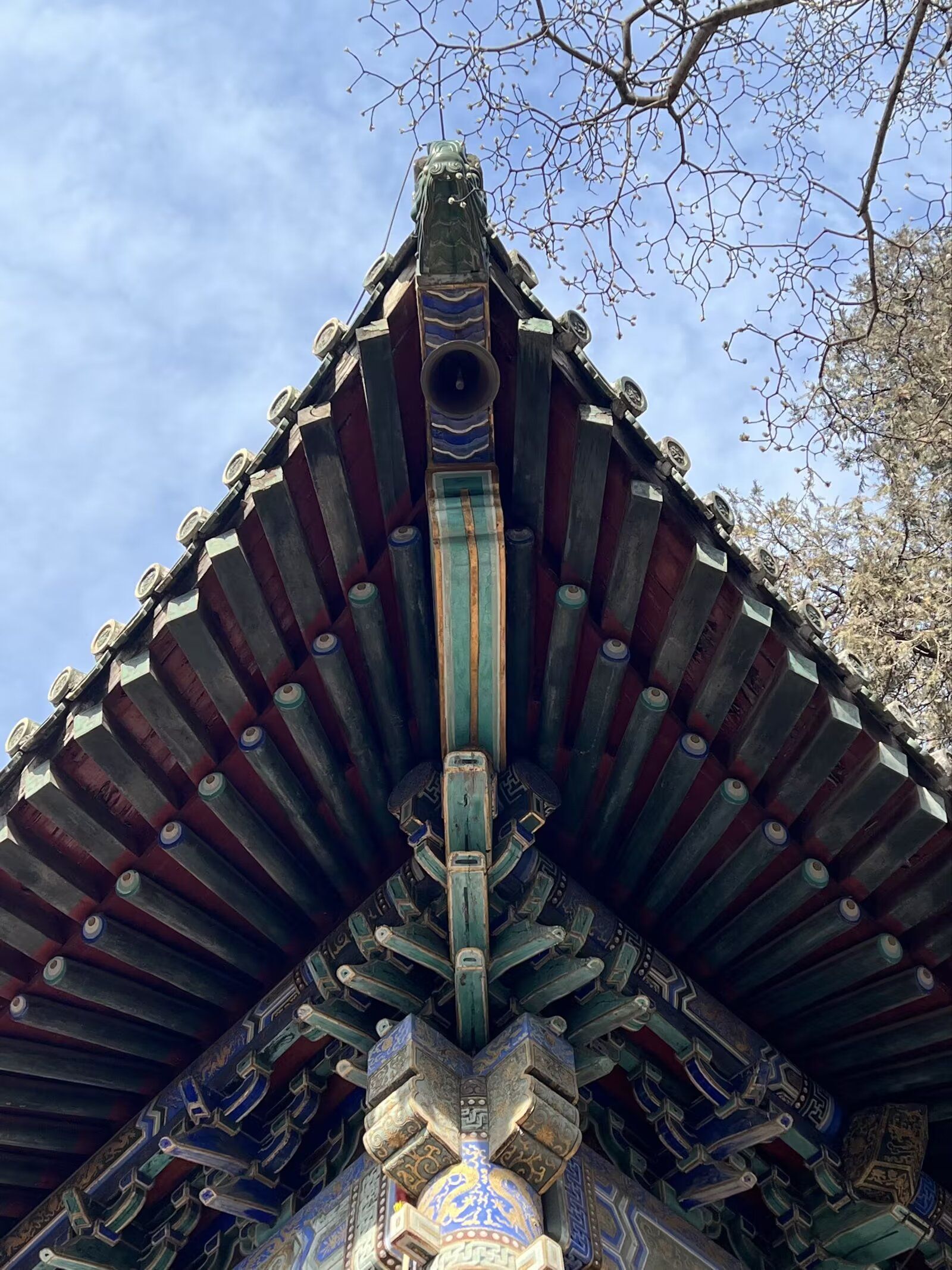 梨树院旅行图片 2