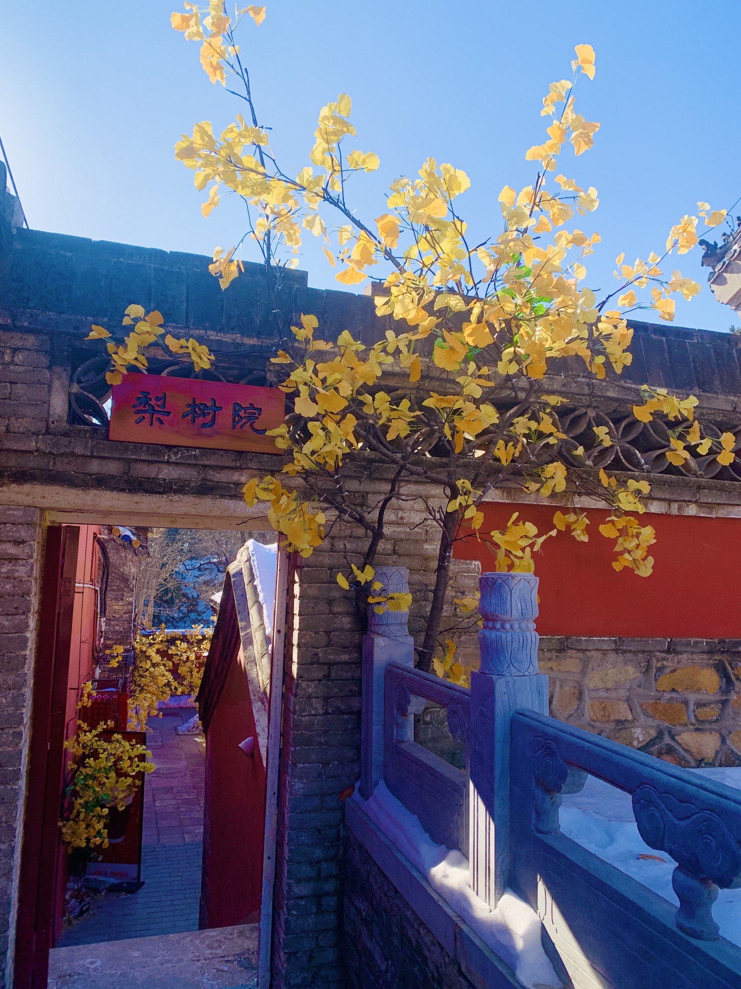 梨树院旅行图片 1