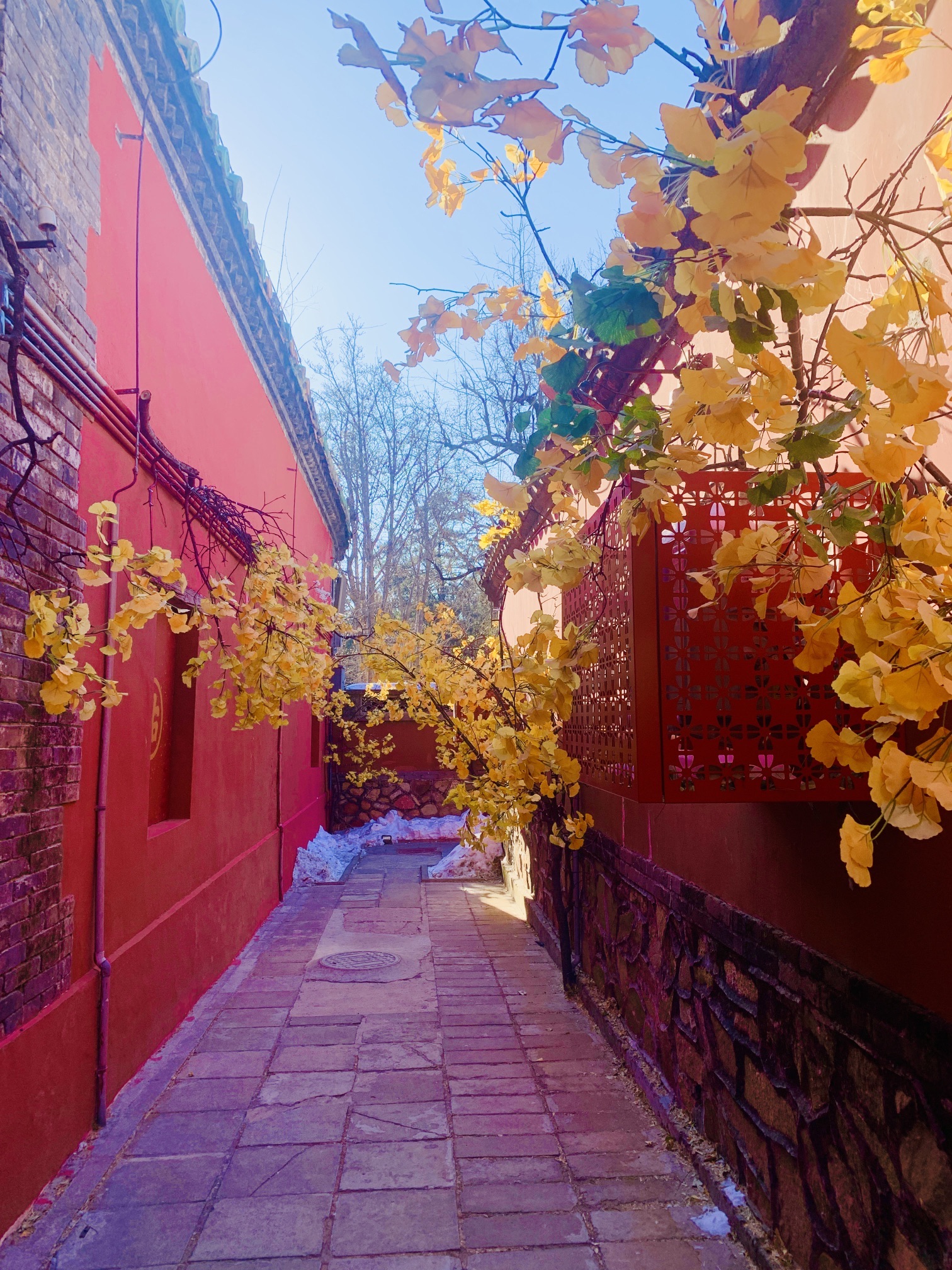 梨树院旅行图片 2