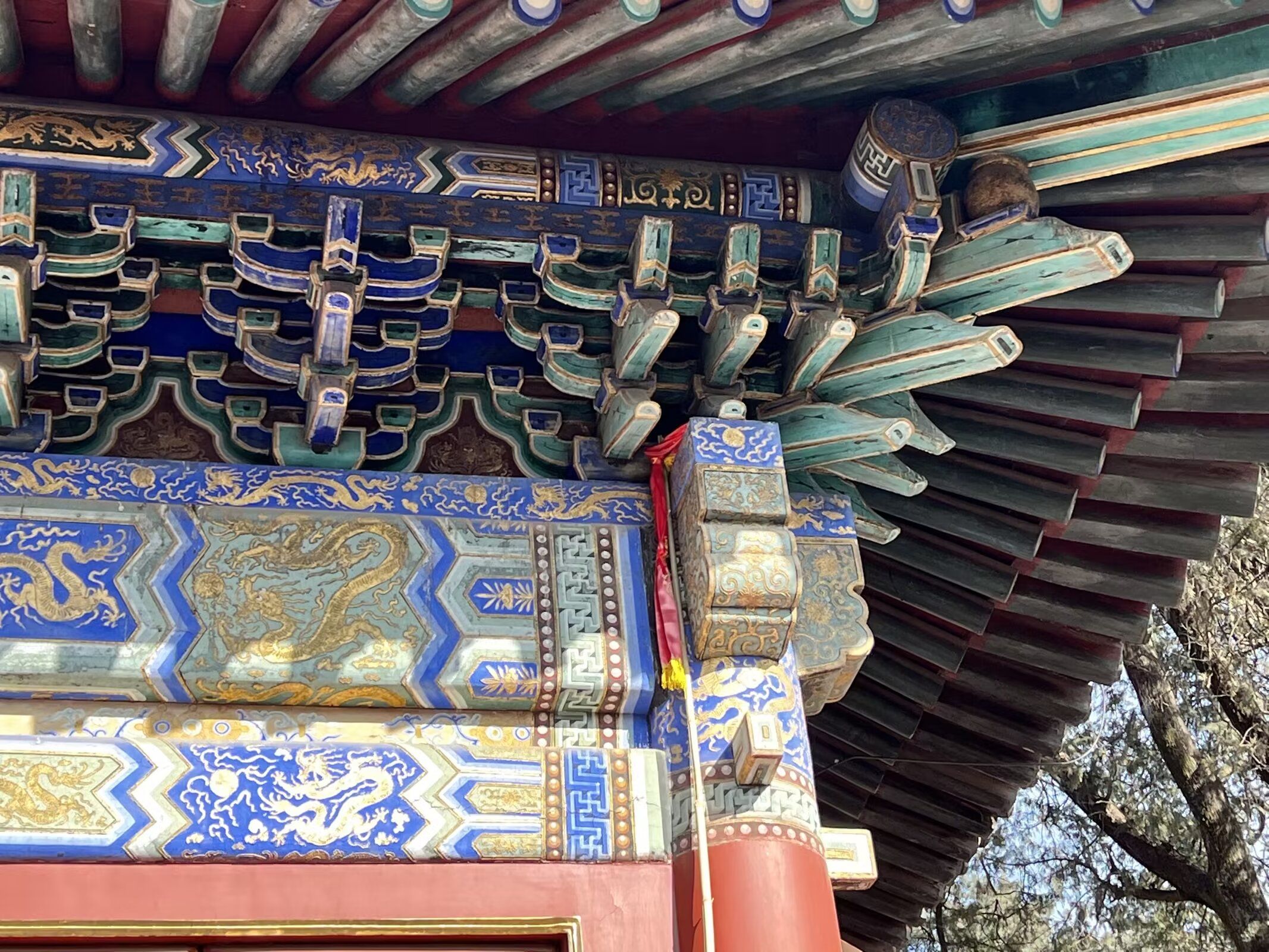 梨树院旅行图片 3