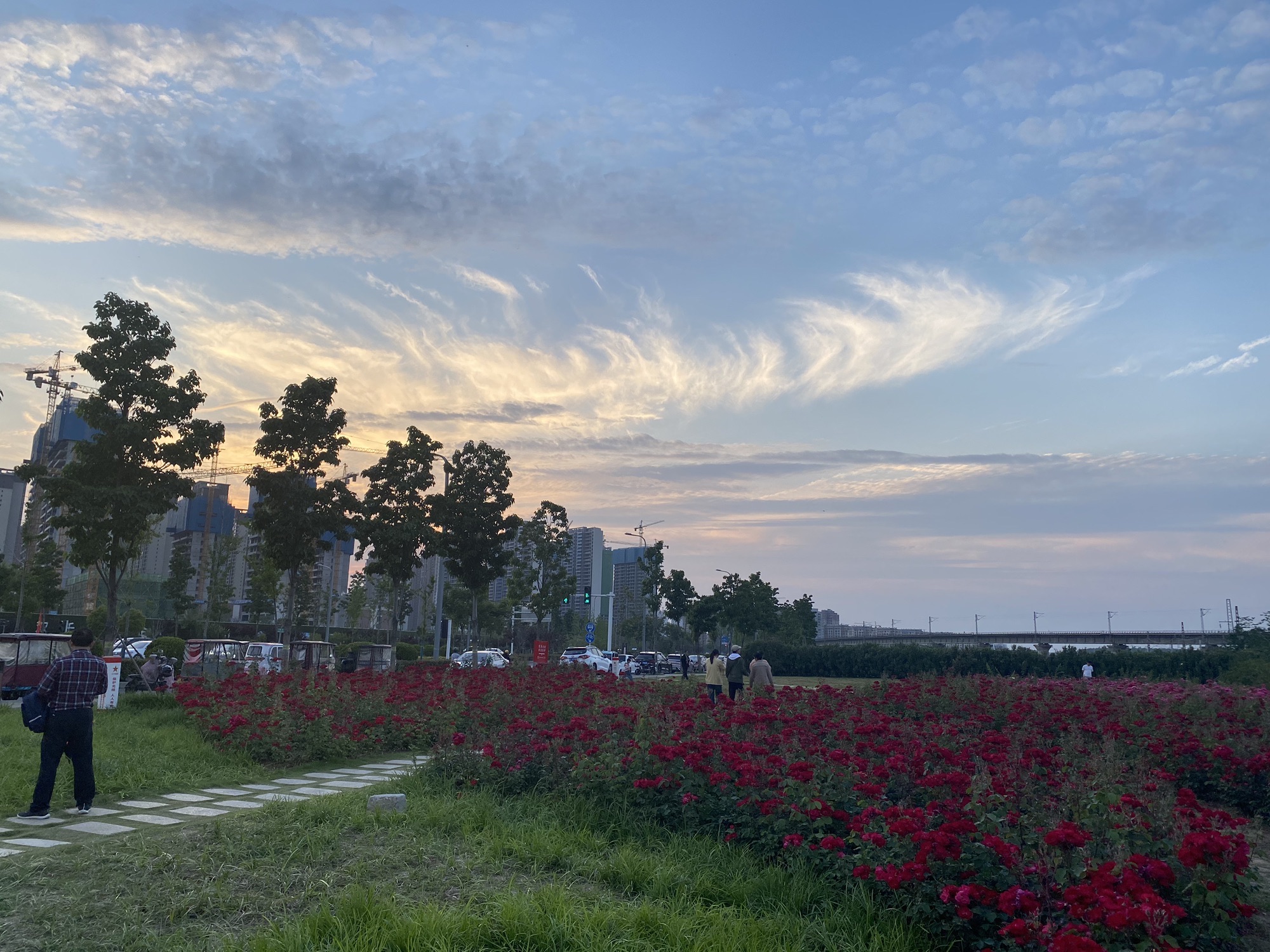 牡丹湖公园旅行图片 1