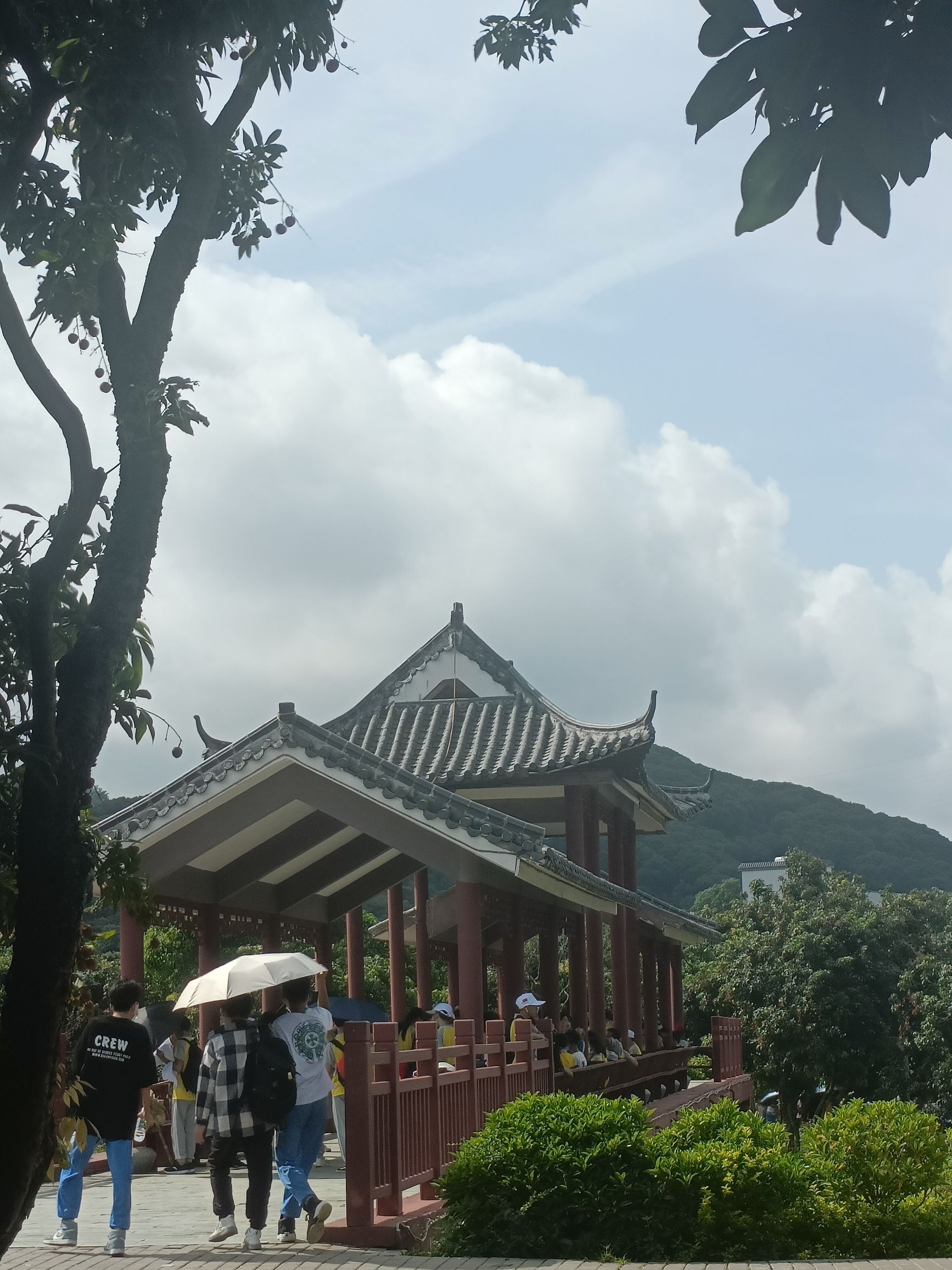 大唐荔乡文化旅游区旅行图片 1
