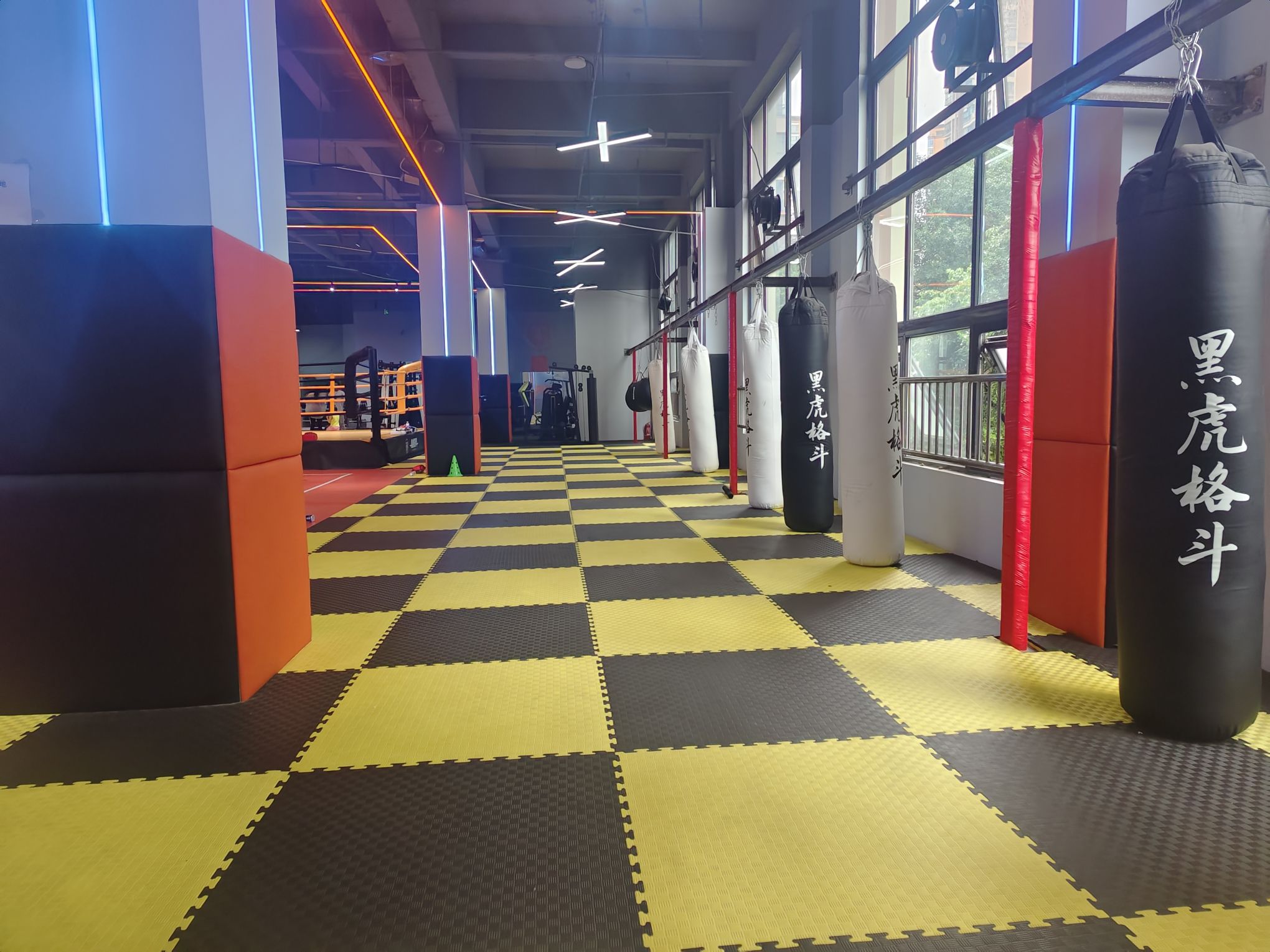 场地封面-黑虎格斗俱乐部(海骏达店)