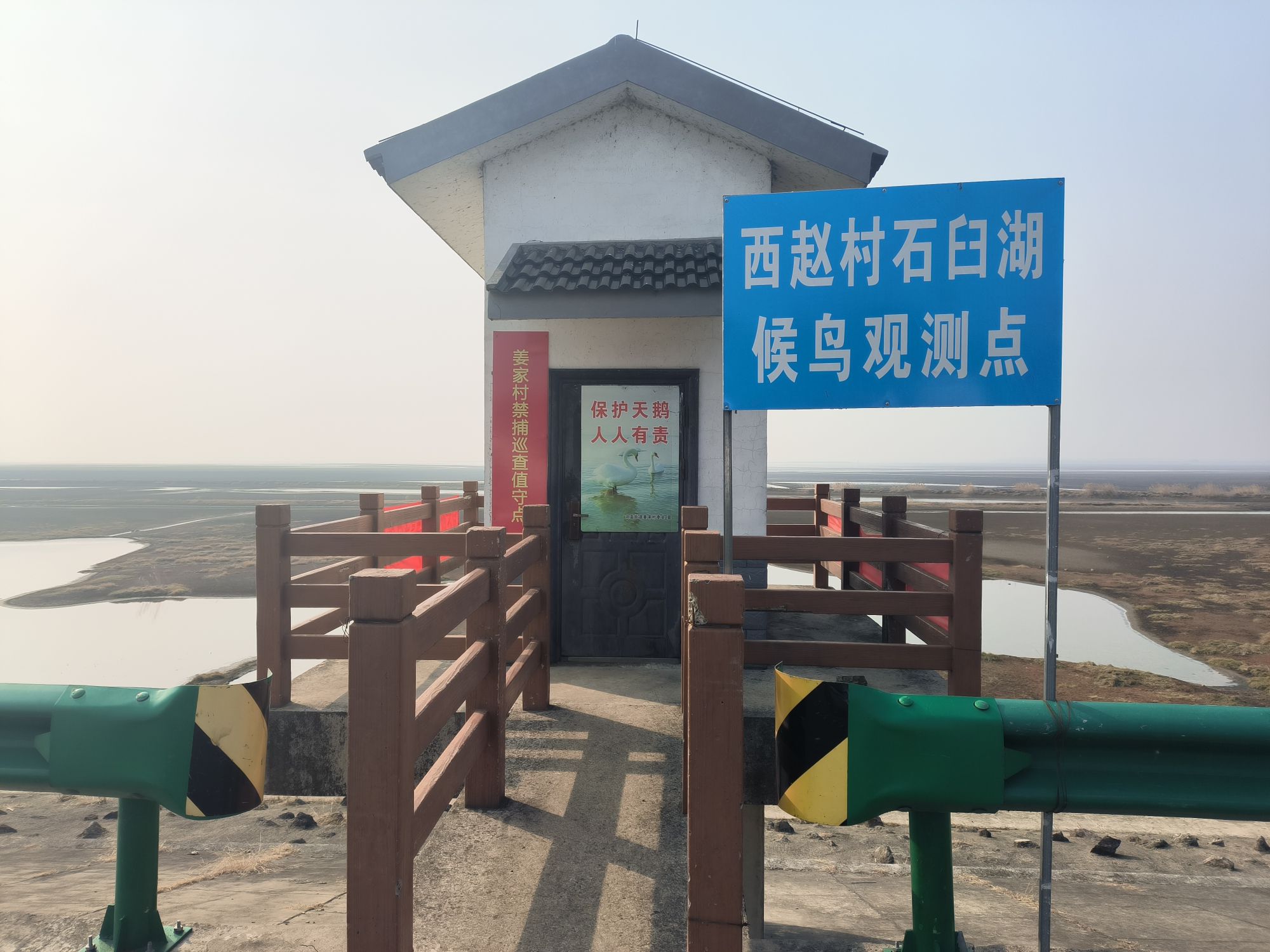 西赵村石臼湖候鸟观测点旅行图片 2
