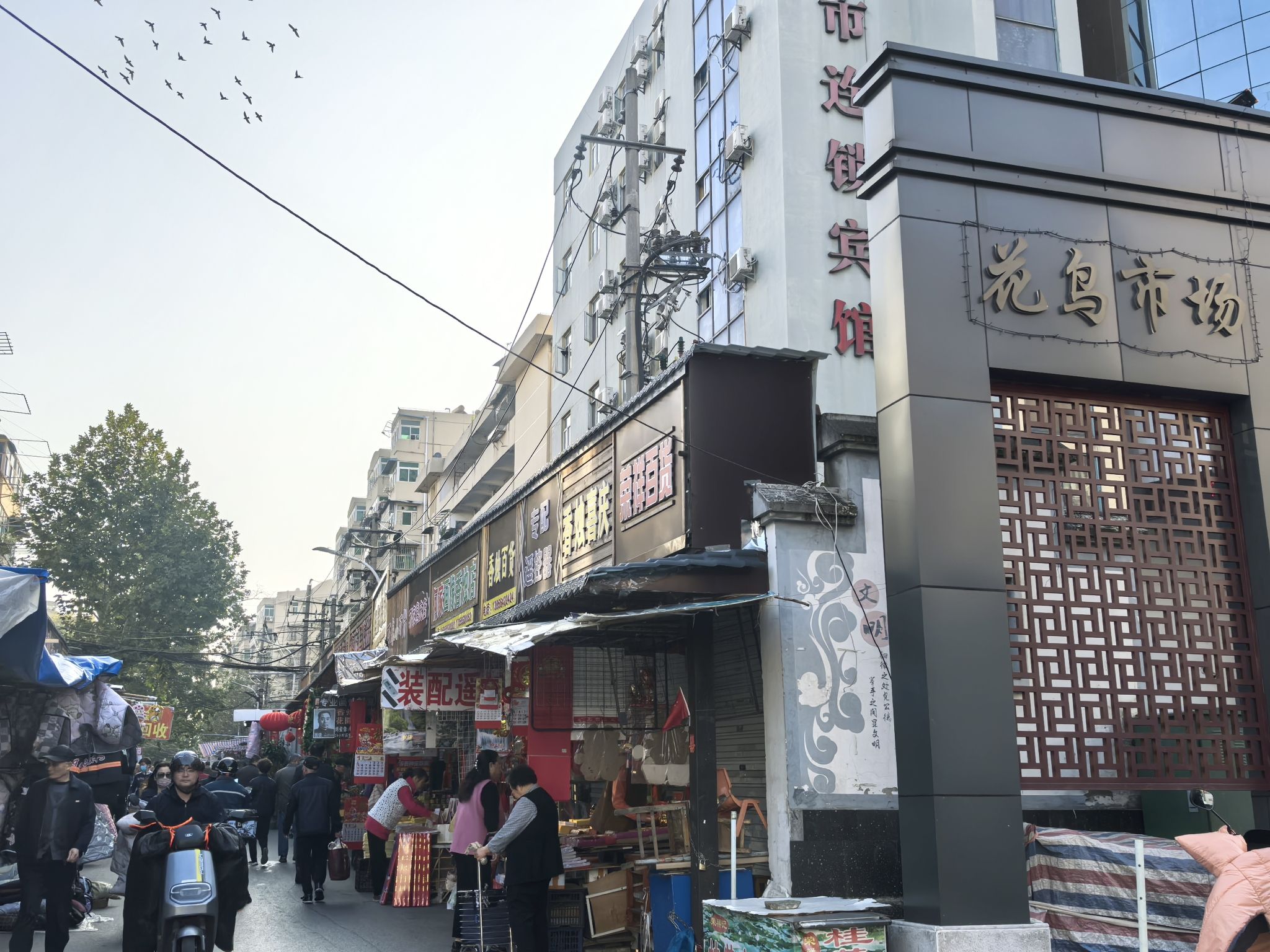 安徽省马鞍山市花鸟市场