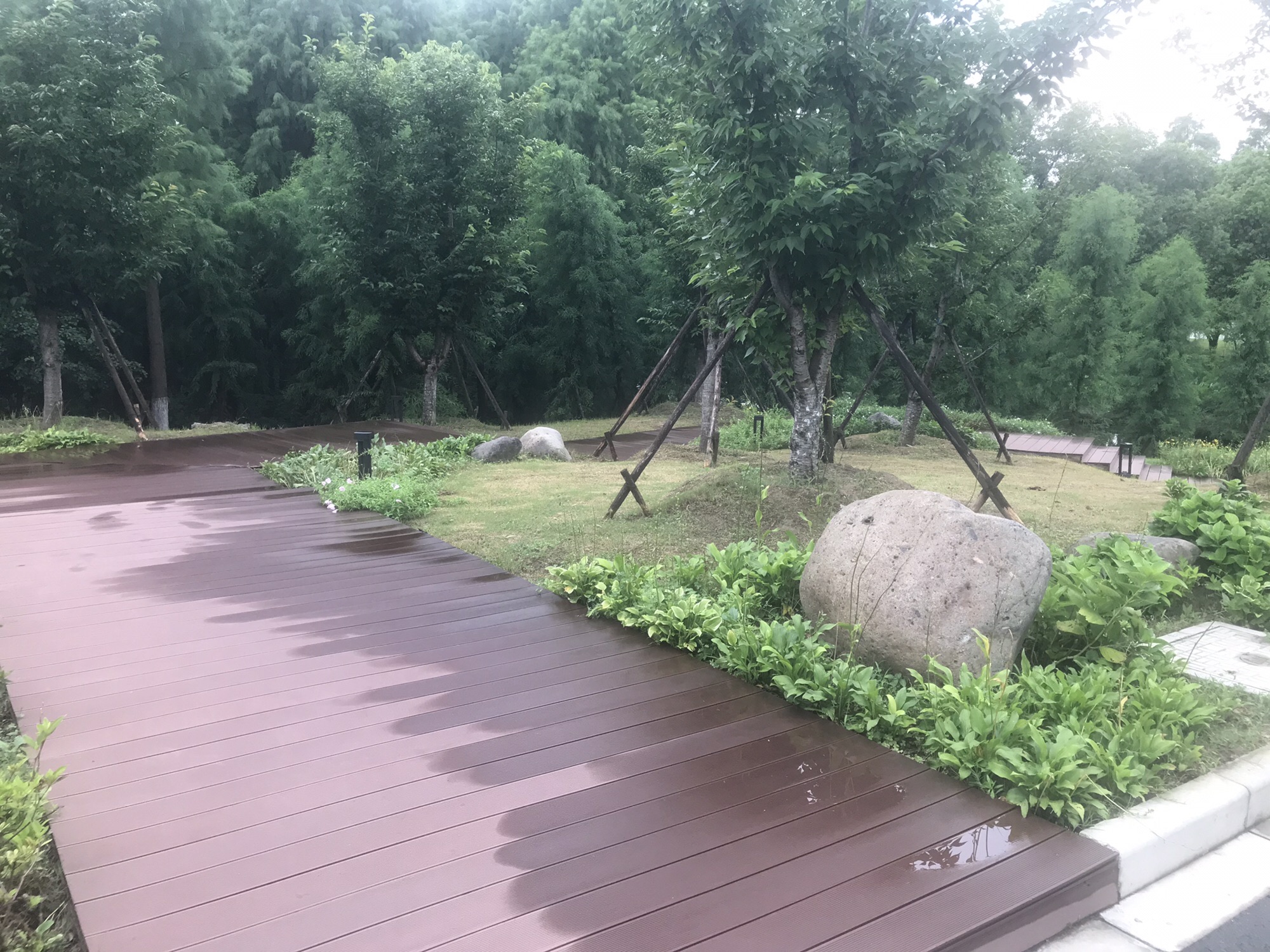天远桥湿地公园旅行图片 1