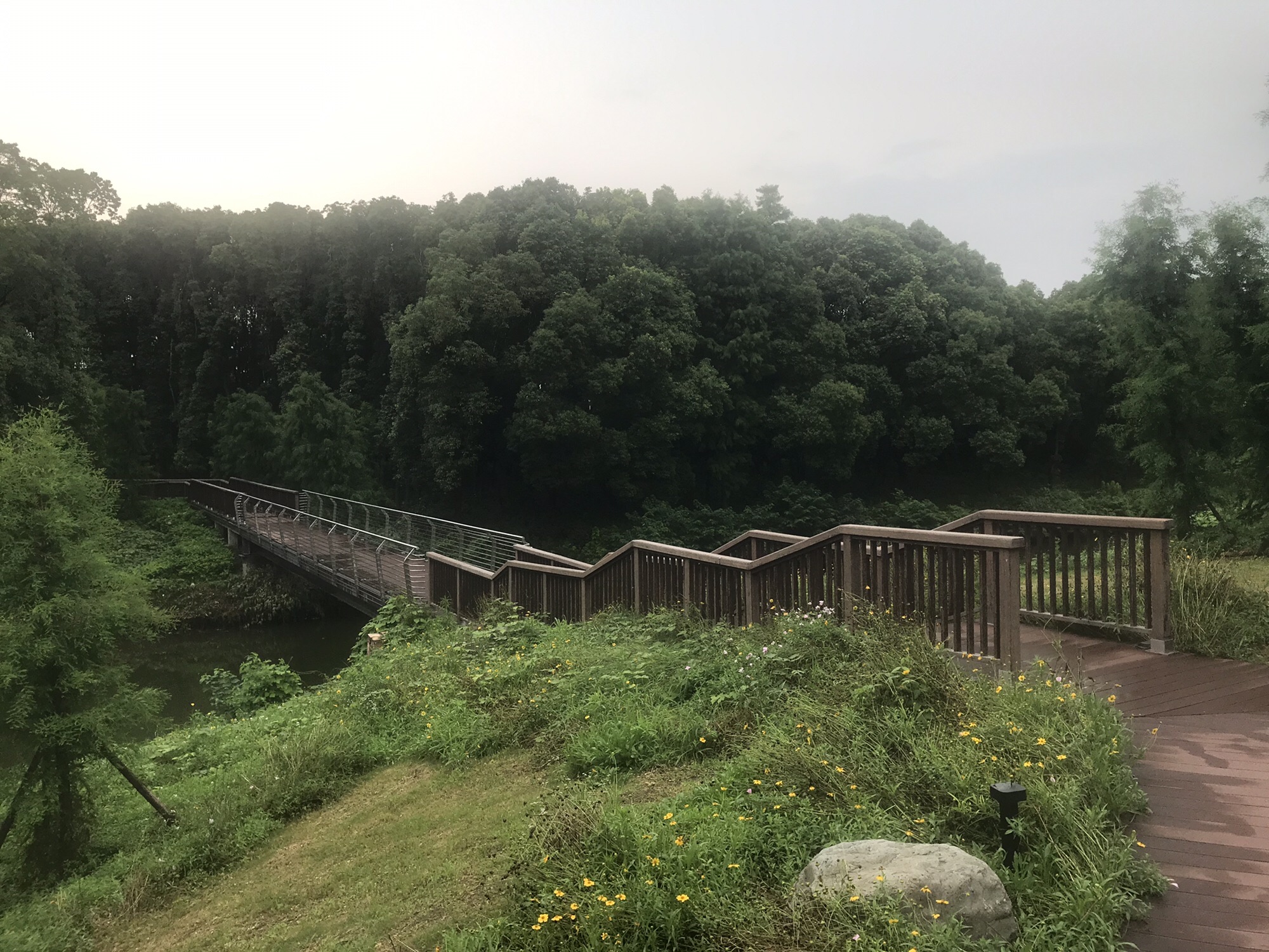 天远桥湿地公园旅行图片 2