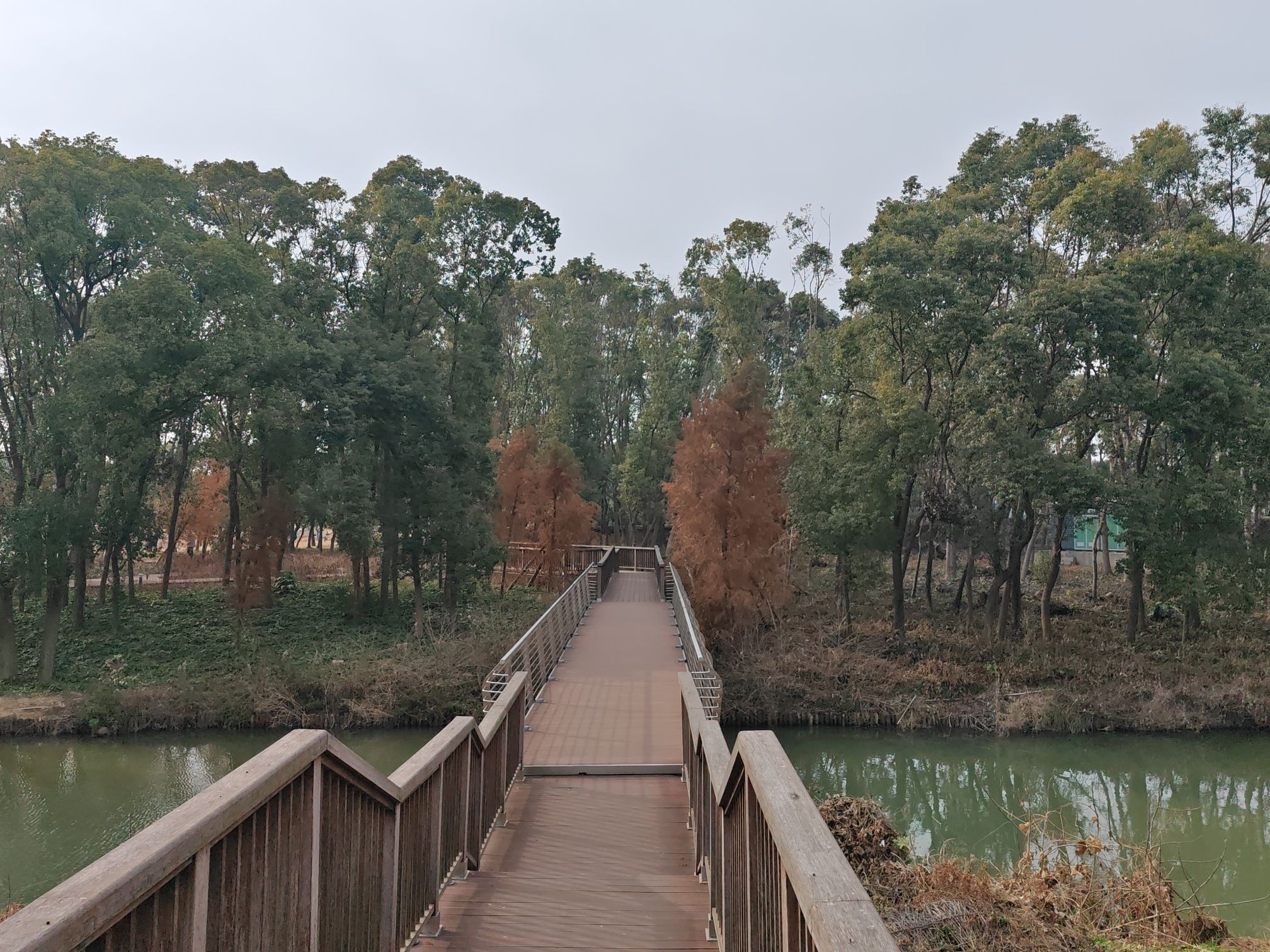 天远桥湿地公园旅行图片 1