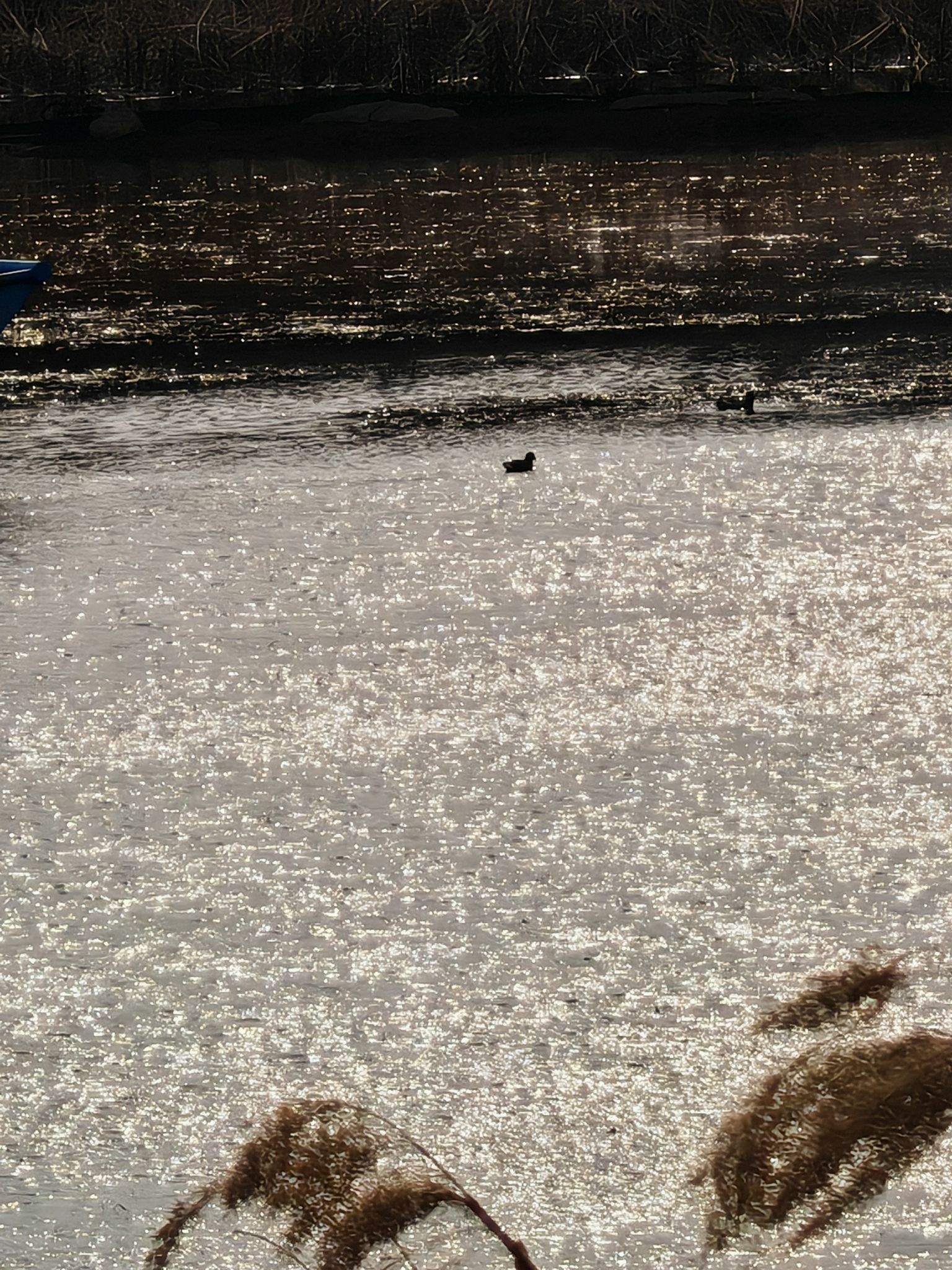 天远桥湿地公园旅行图片 3