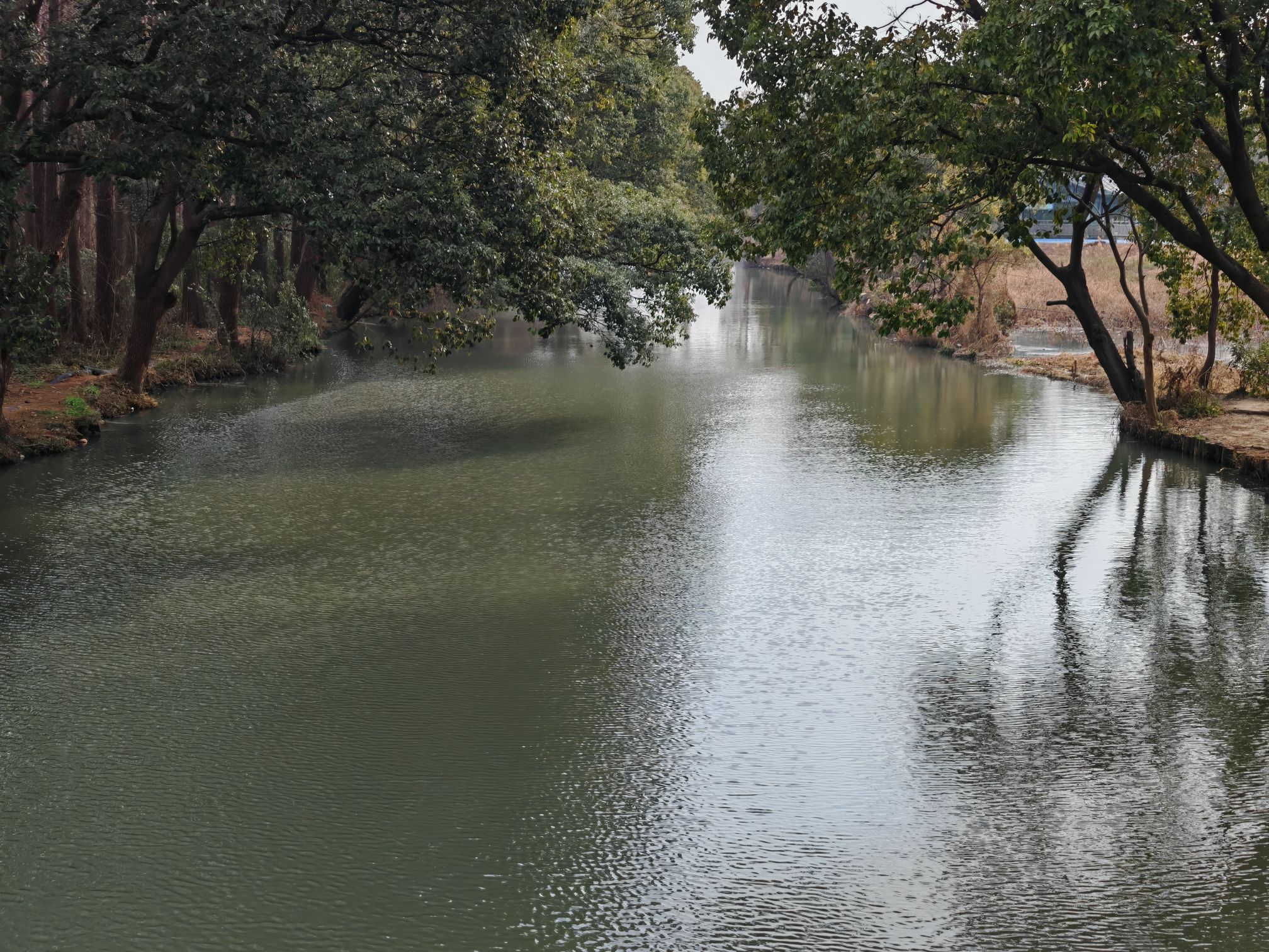 天远桥湿地公园旅行图片 2