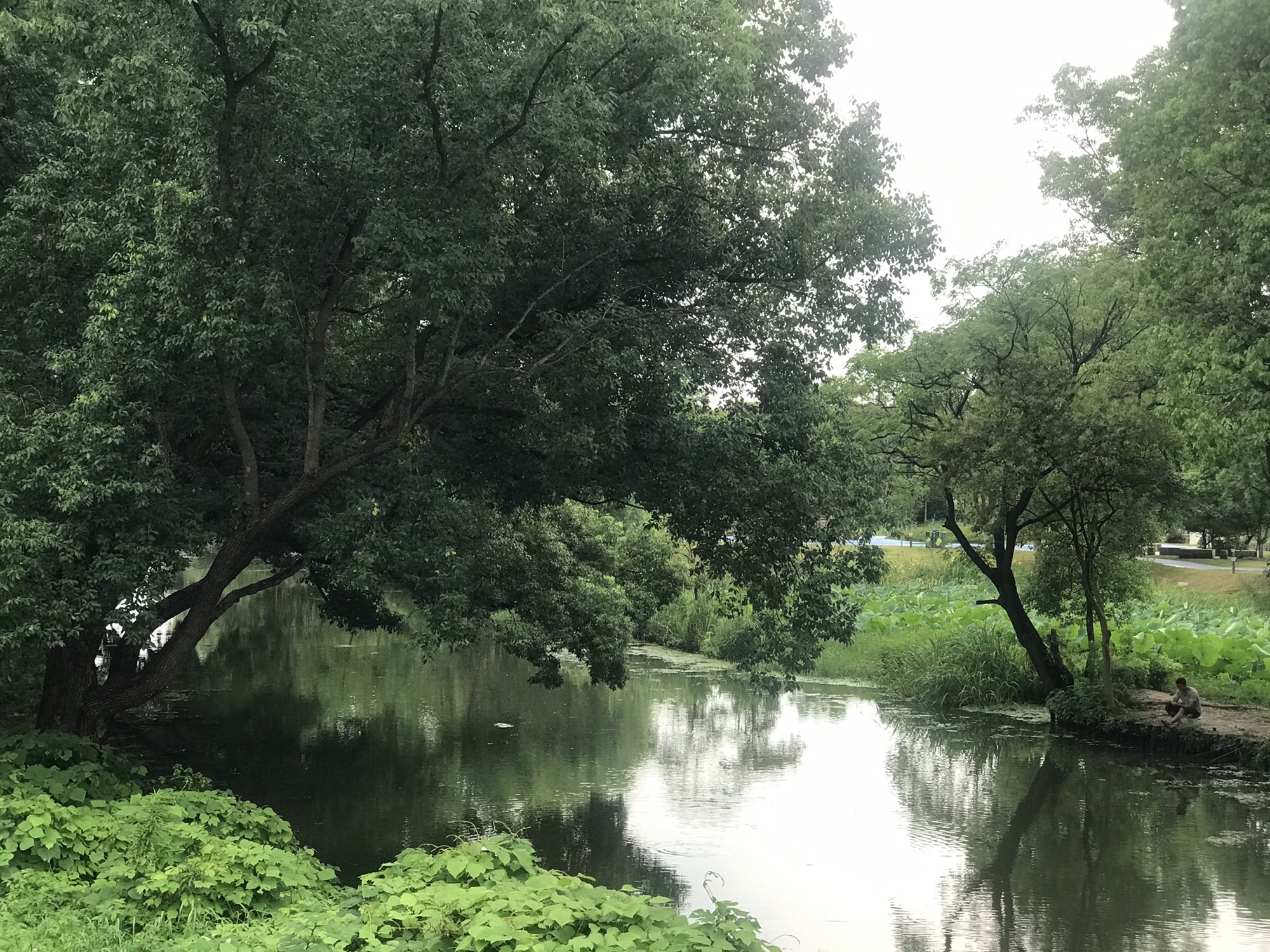 天远桥湿地公园旅行图片 3