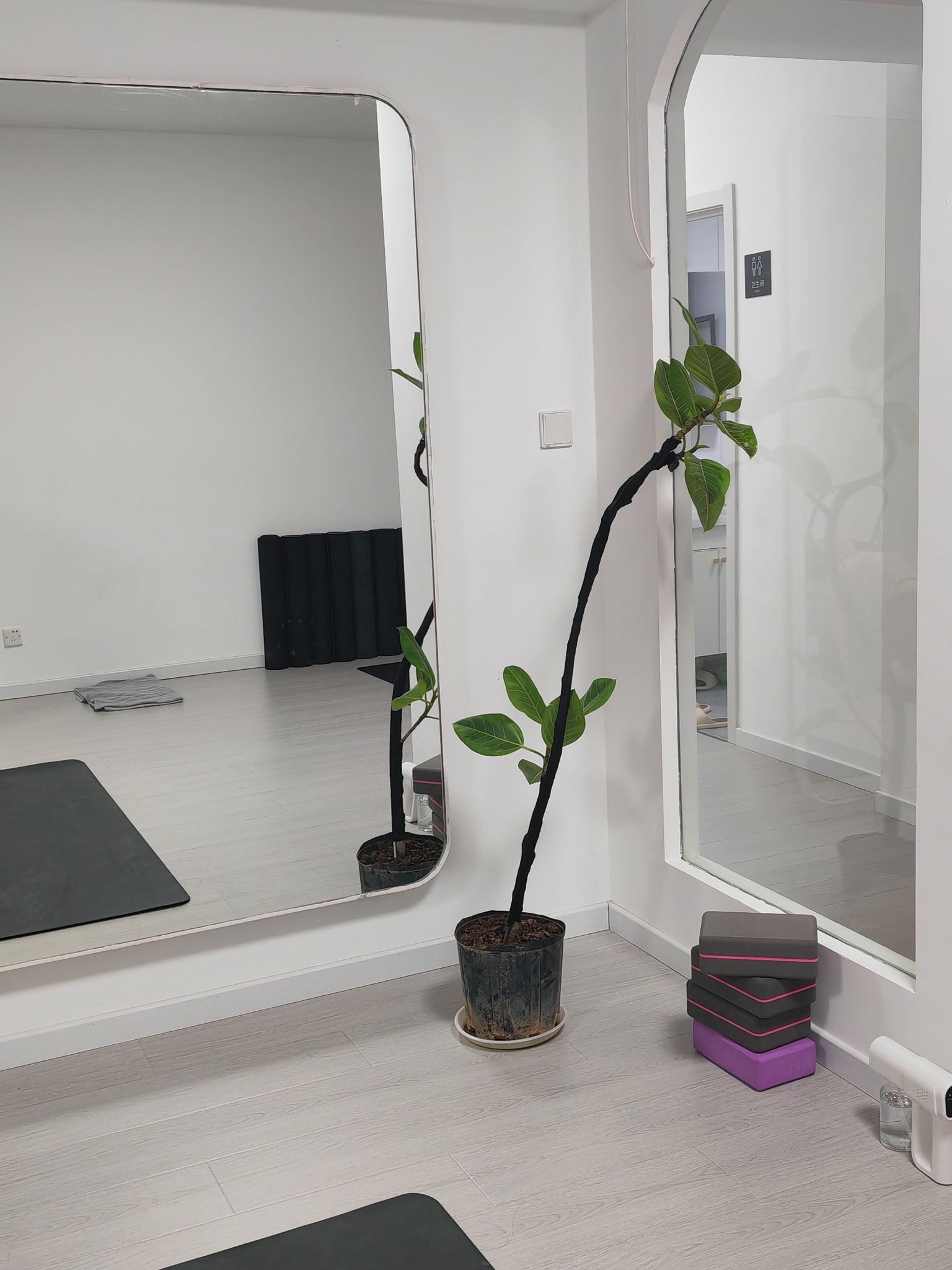 场地封面-净伊瑜伽