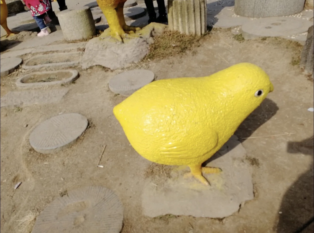 金鸡坨生态旅游区旅行图片 2