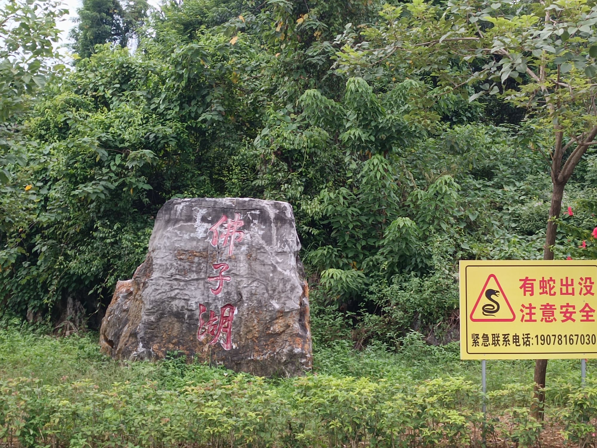佛子湖公园