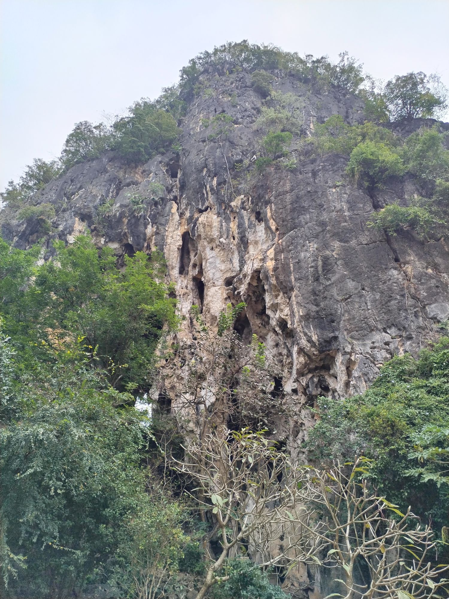 罗定穿龙岩