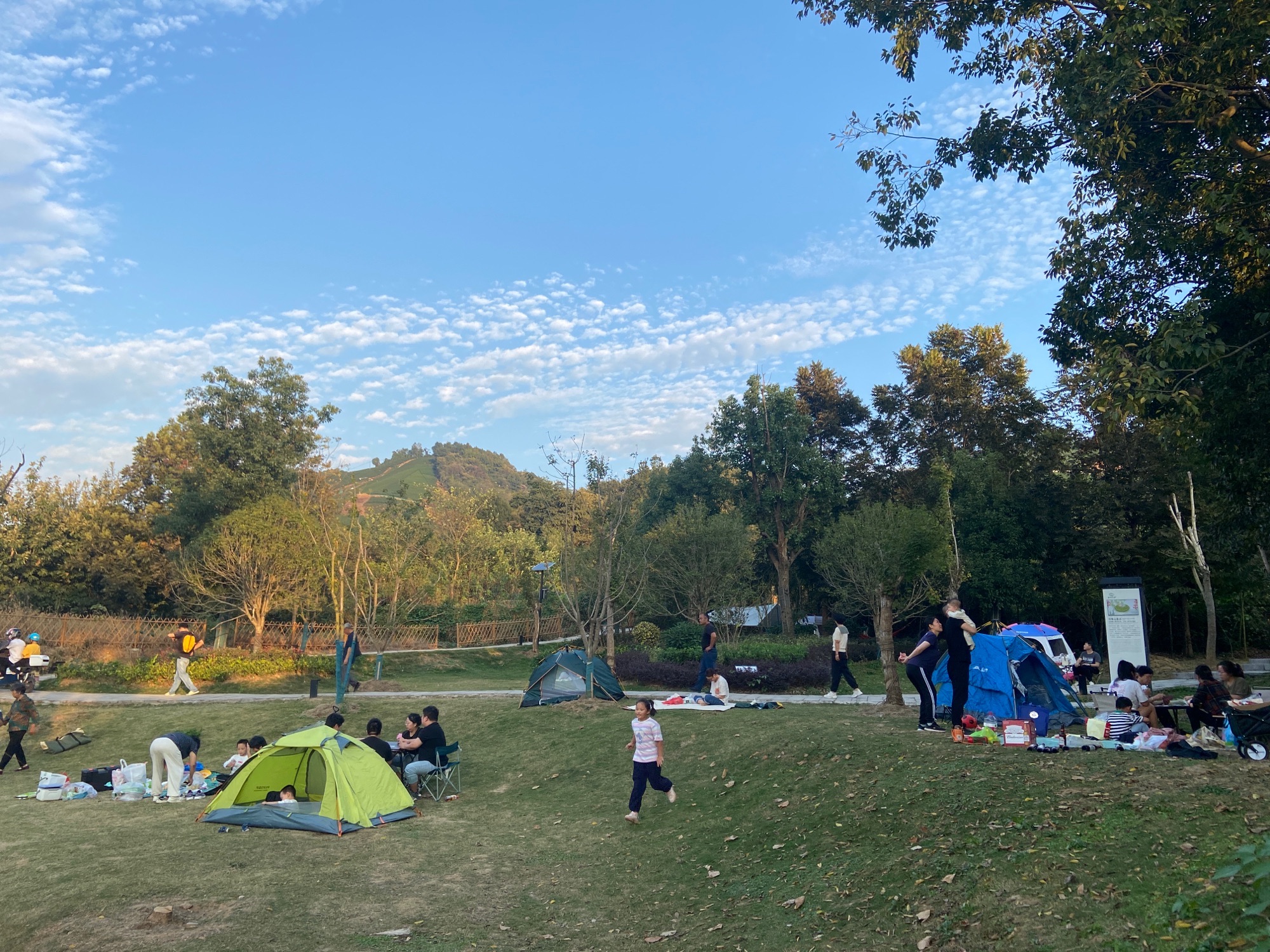 枫岭茶谷.乌龟山景点旅行图片 1