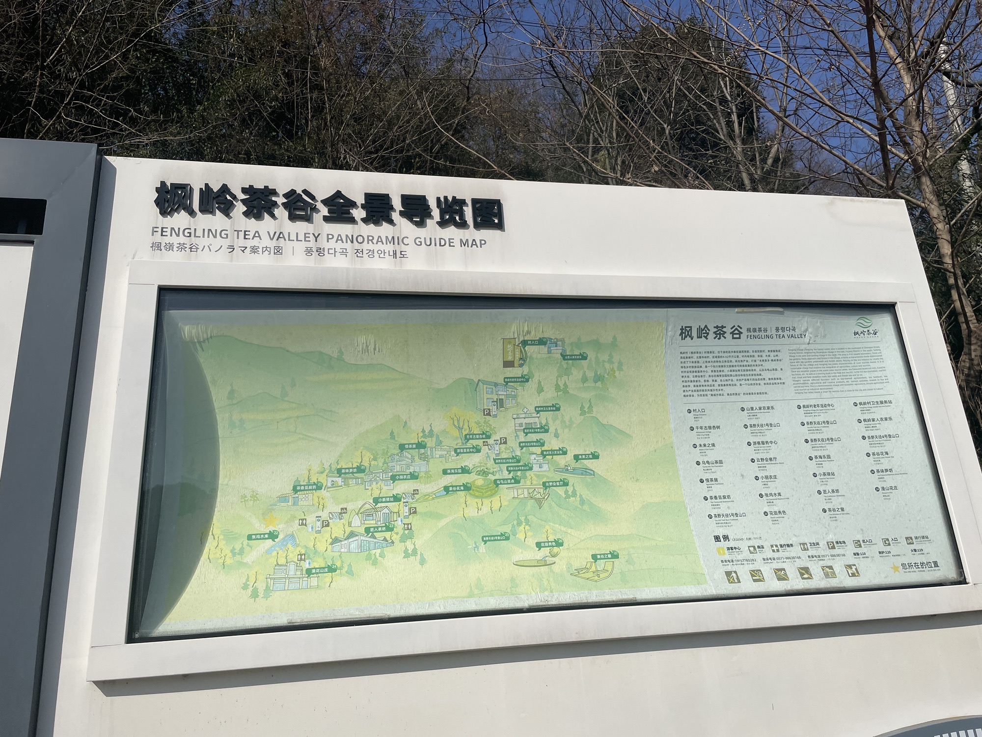 枫岭茶谷.乌龟山景点旅行图片 2