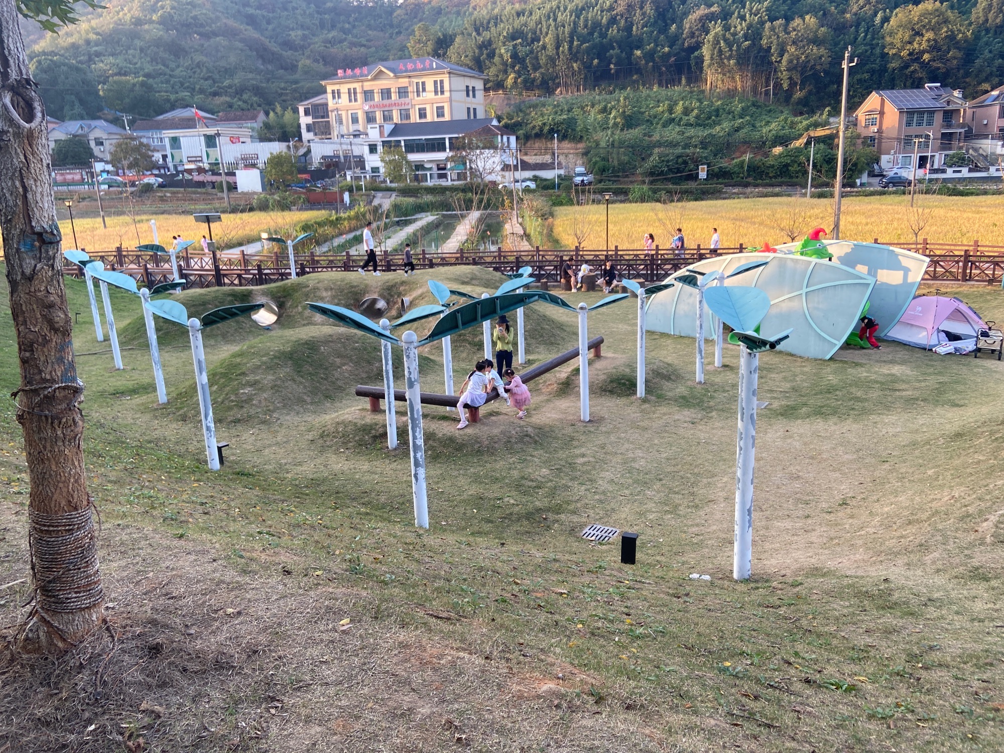 枫岭茶谷.乌龟山景点旅行图片 2