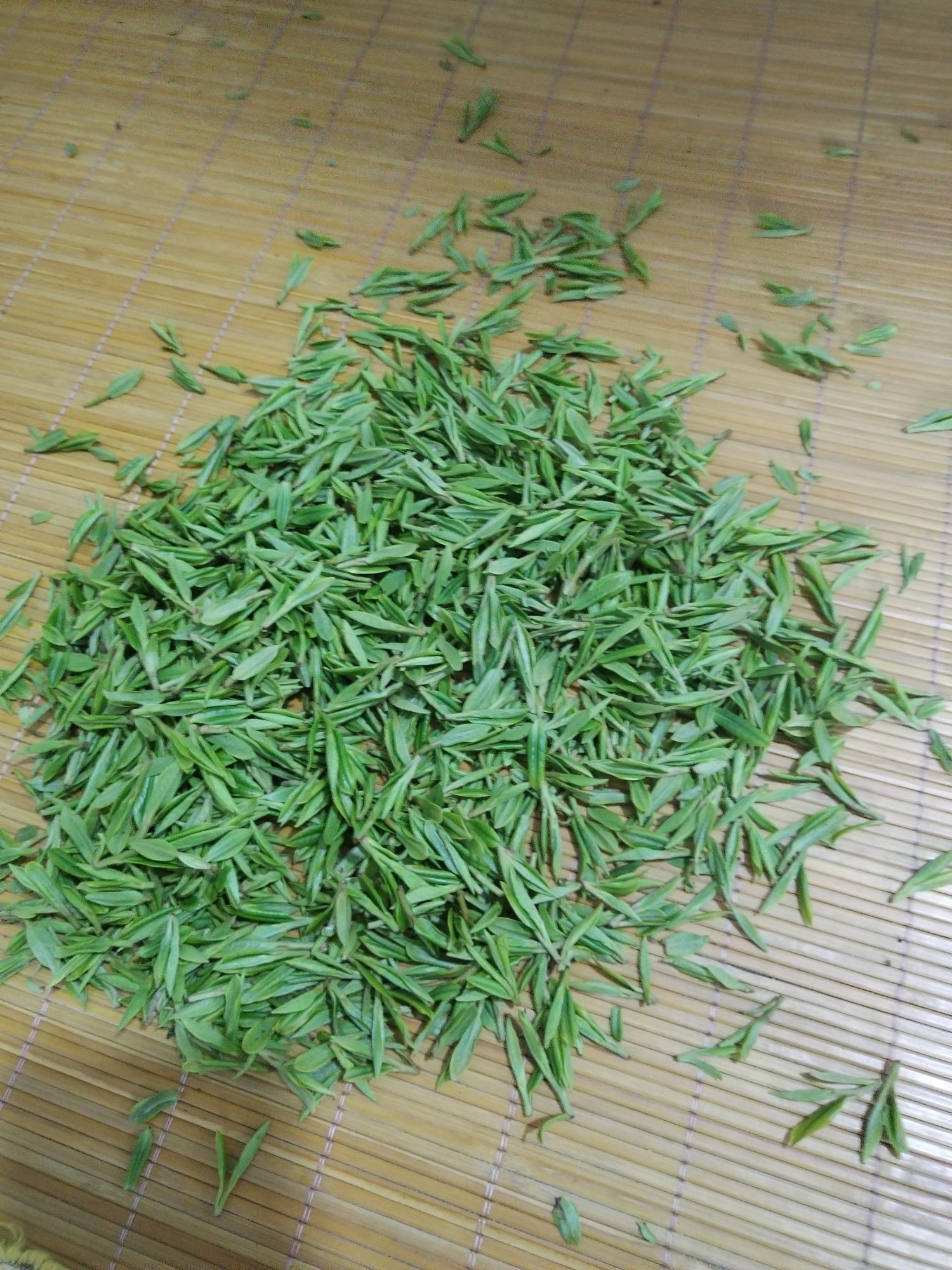 枫岭茶谷.乌龟山景点旅行图片 3
