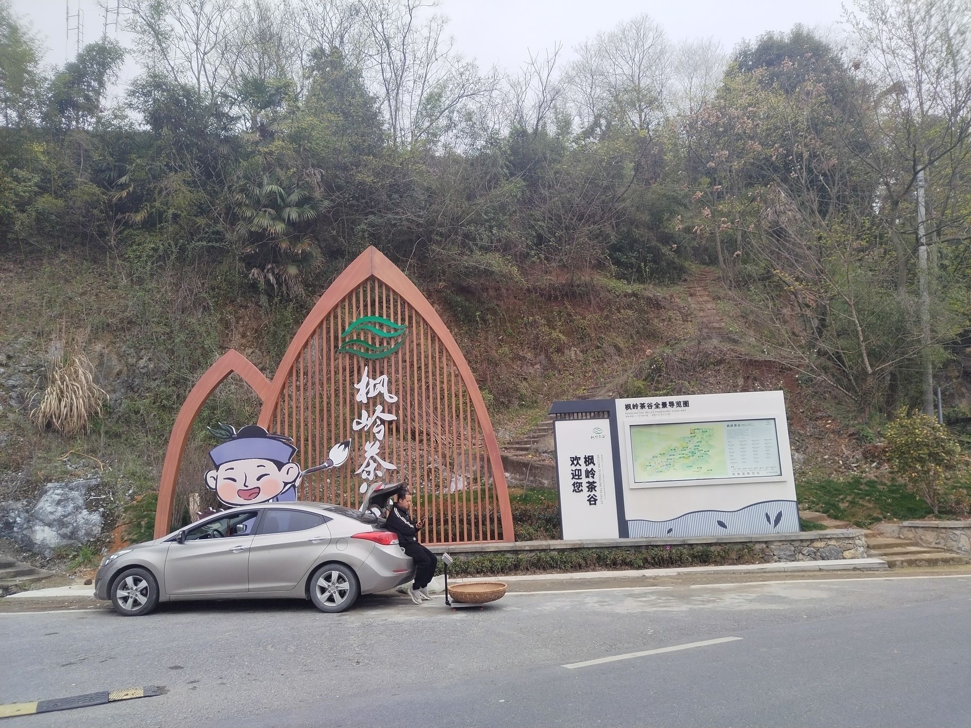 枫岭茶谷.乌龟山景点旅行图片 1