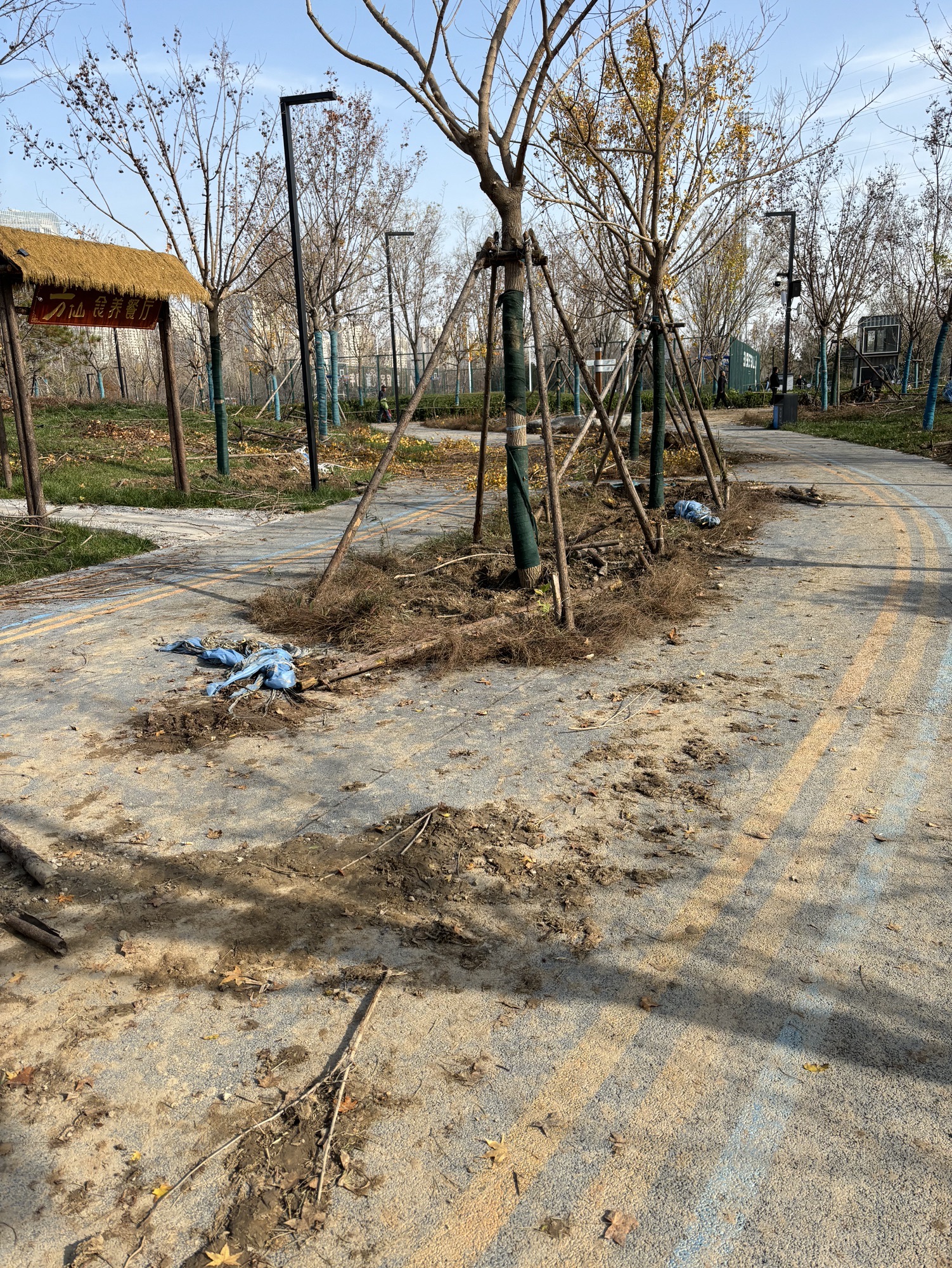 风谷智慧运动休闲公园旅行图片 2