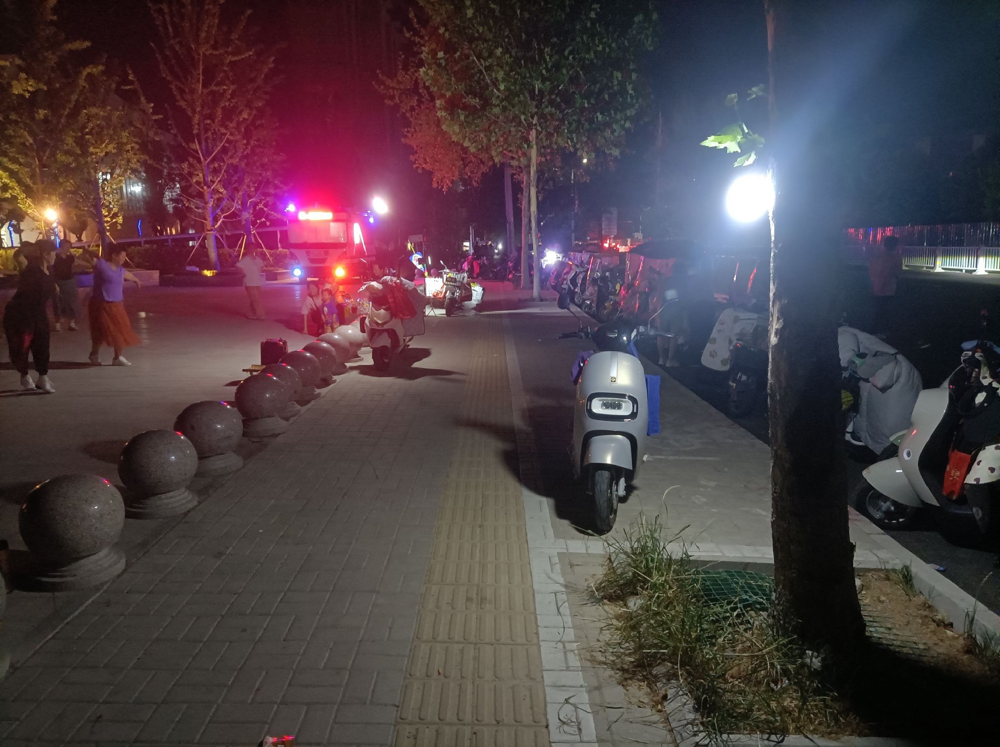 锦绣公园旅行图片 3