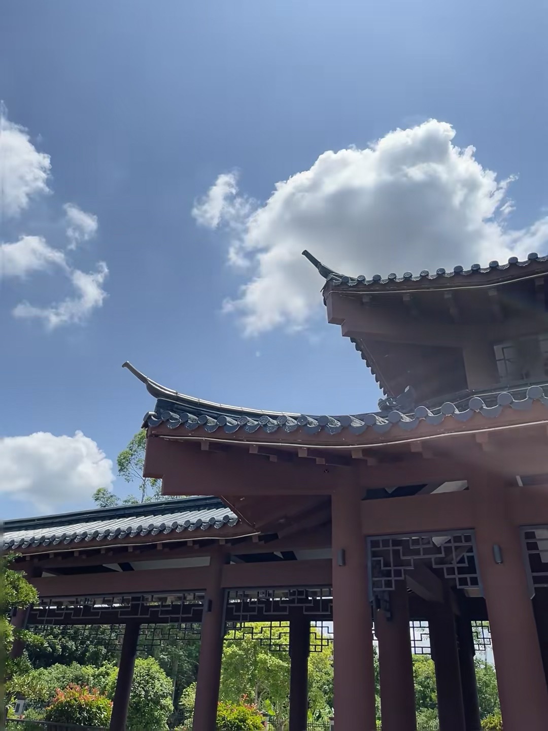东湖公园旅行图片 3