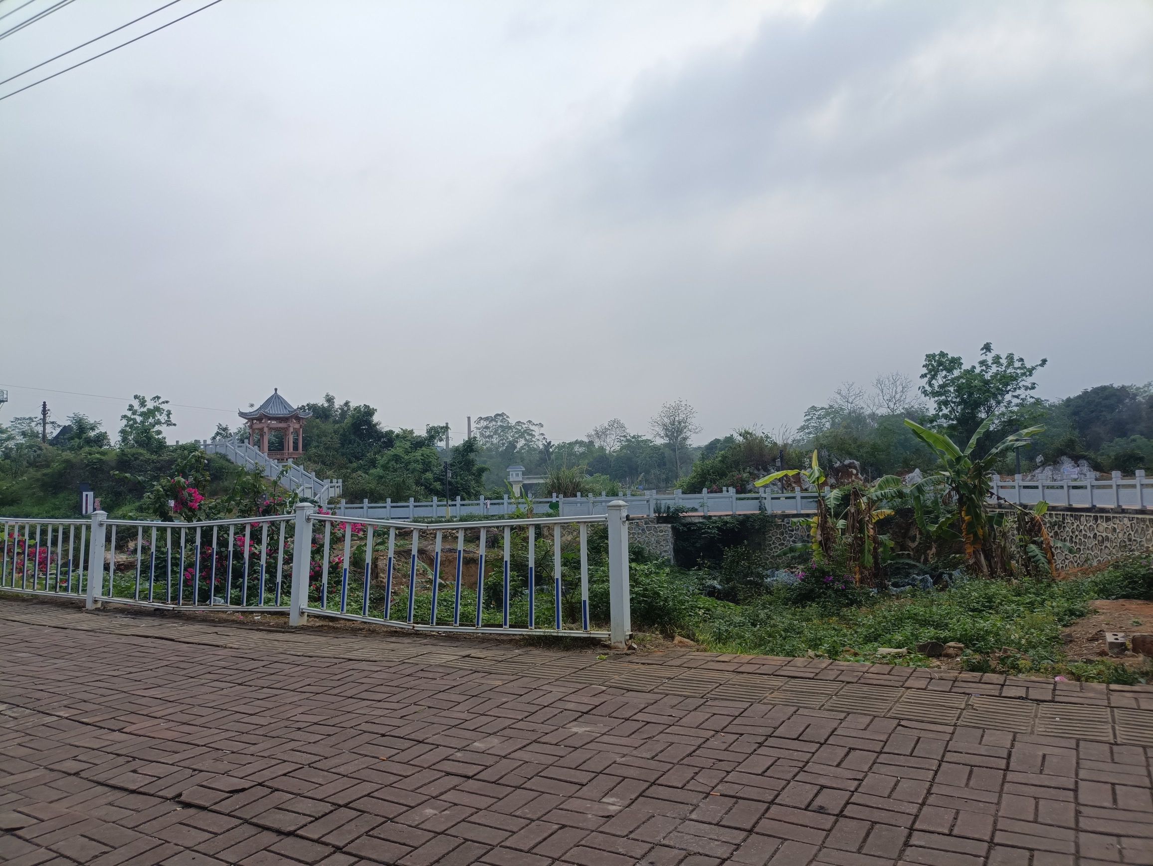 丽江公园旅行图片 2