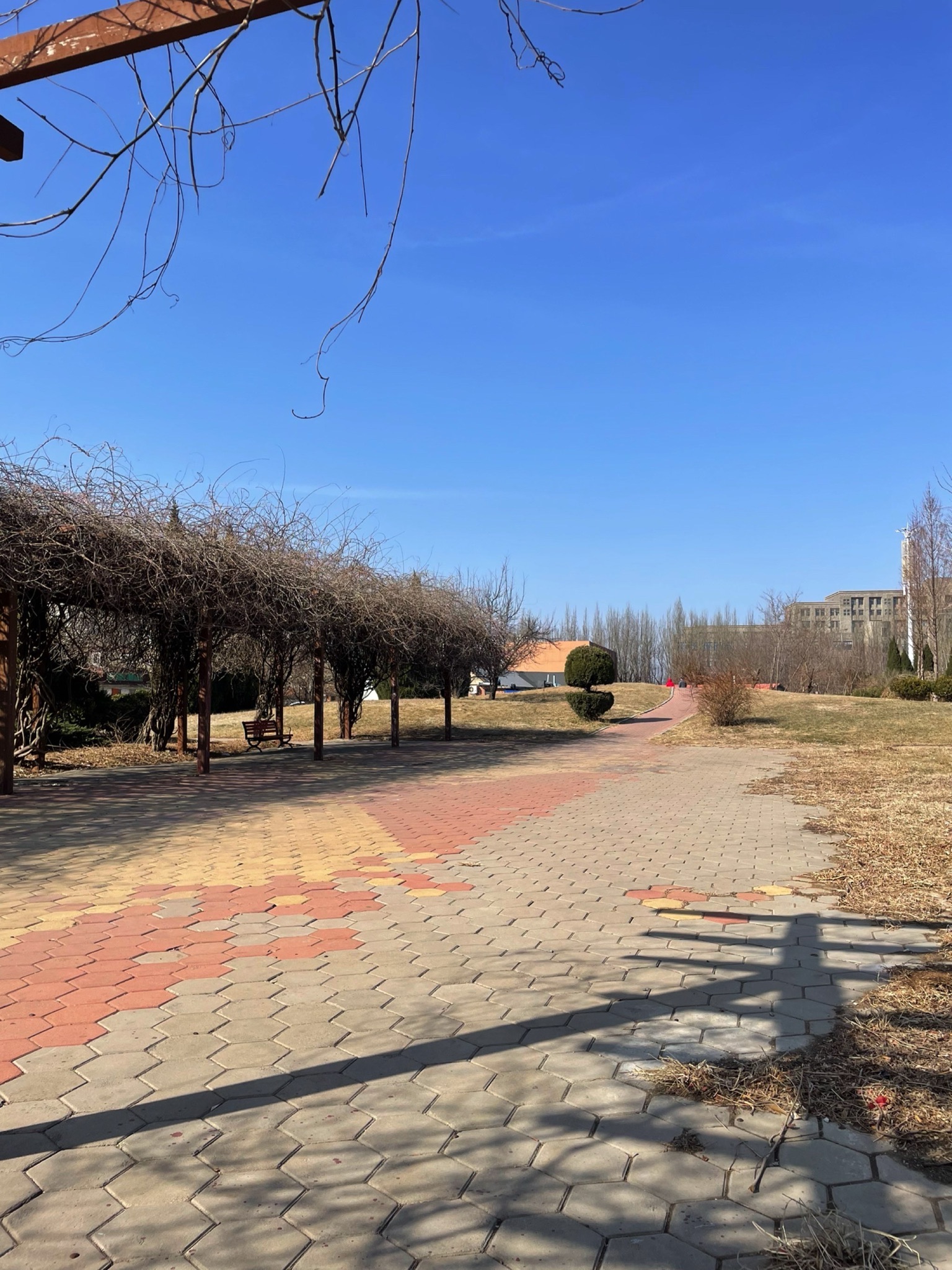 美林公园