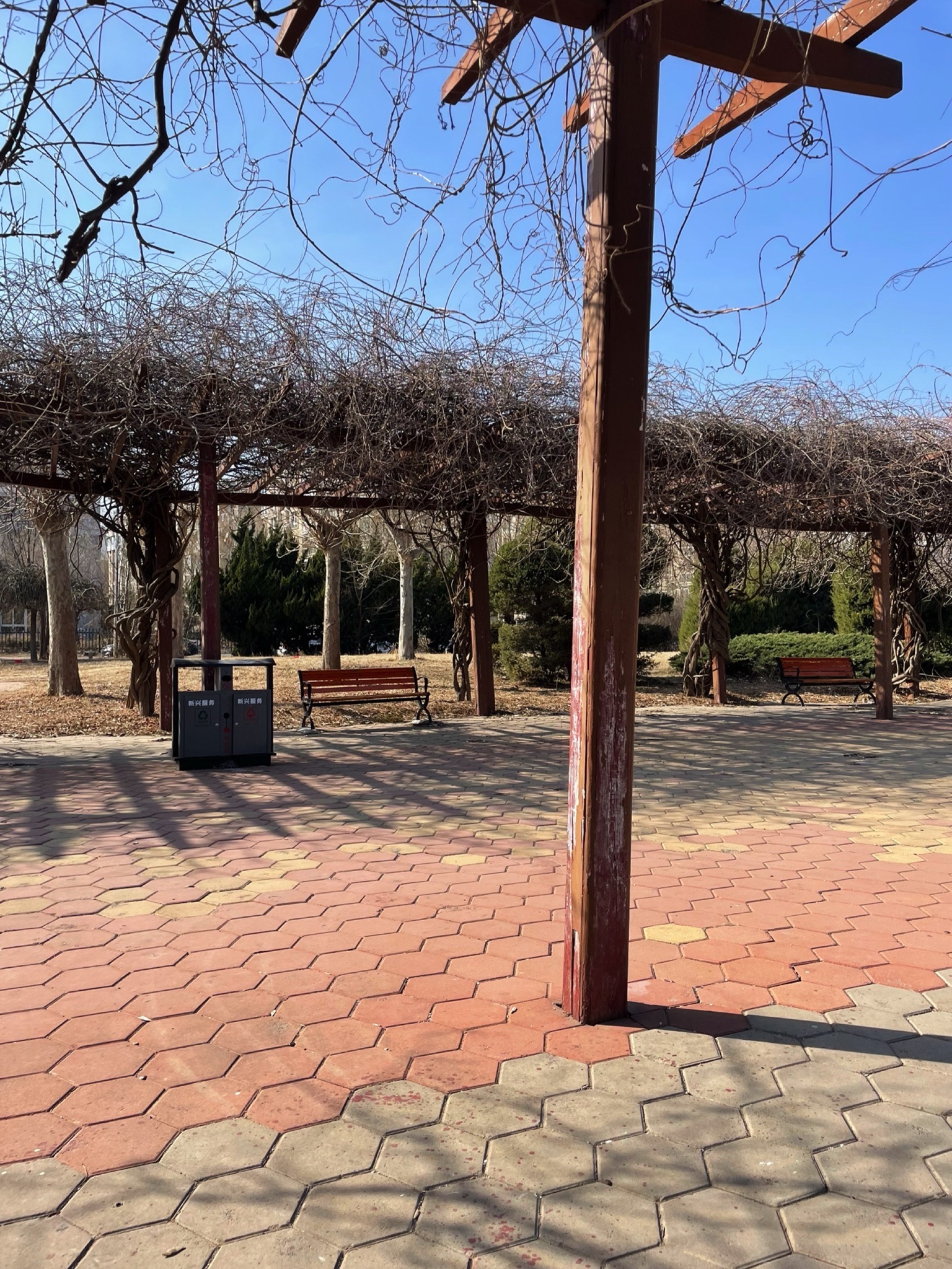 美林公园旅行图片 3