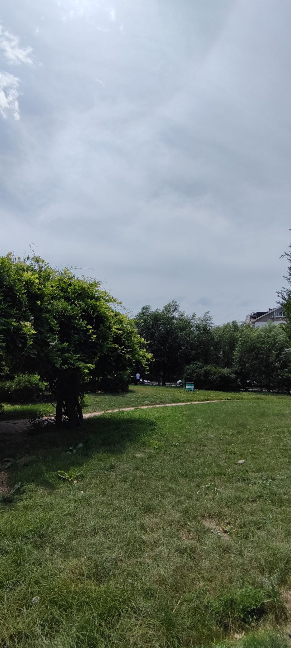 美林公园旅行图片 2