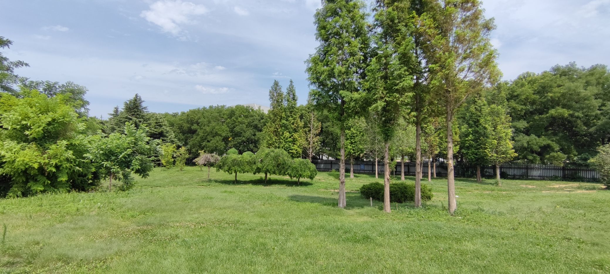 美林公园旅行图片 3