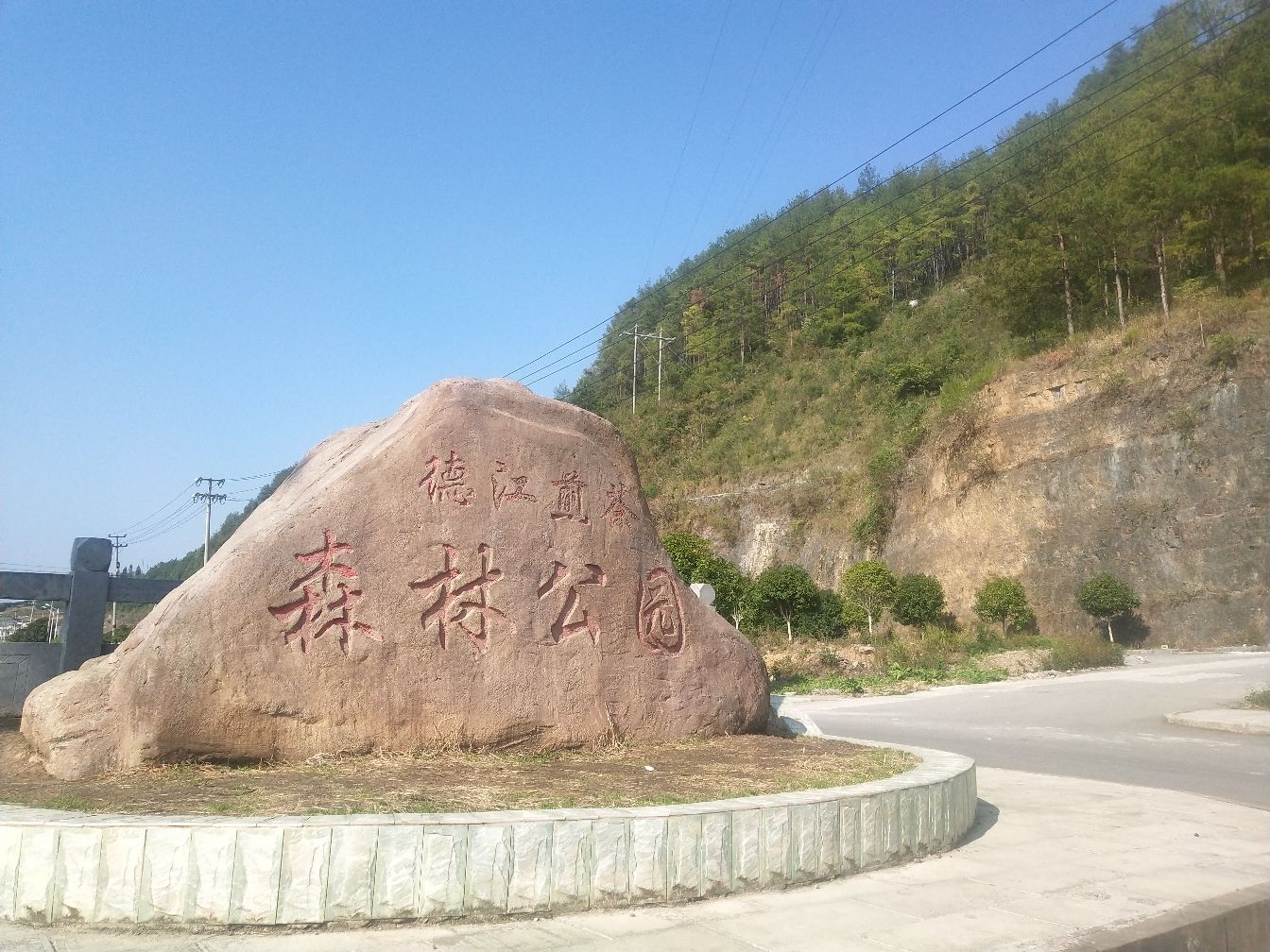 德江煎茶森林公园