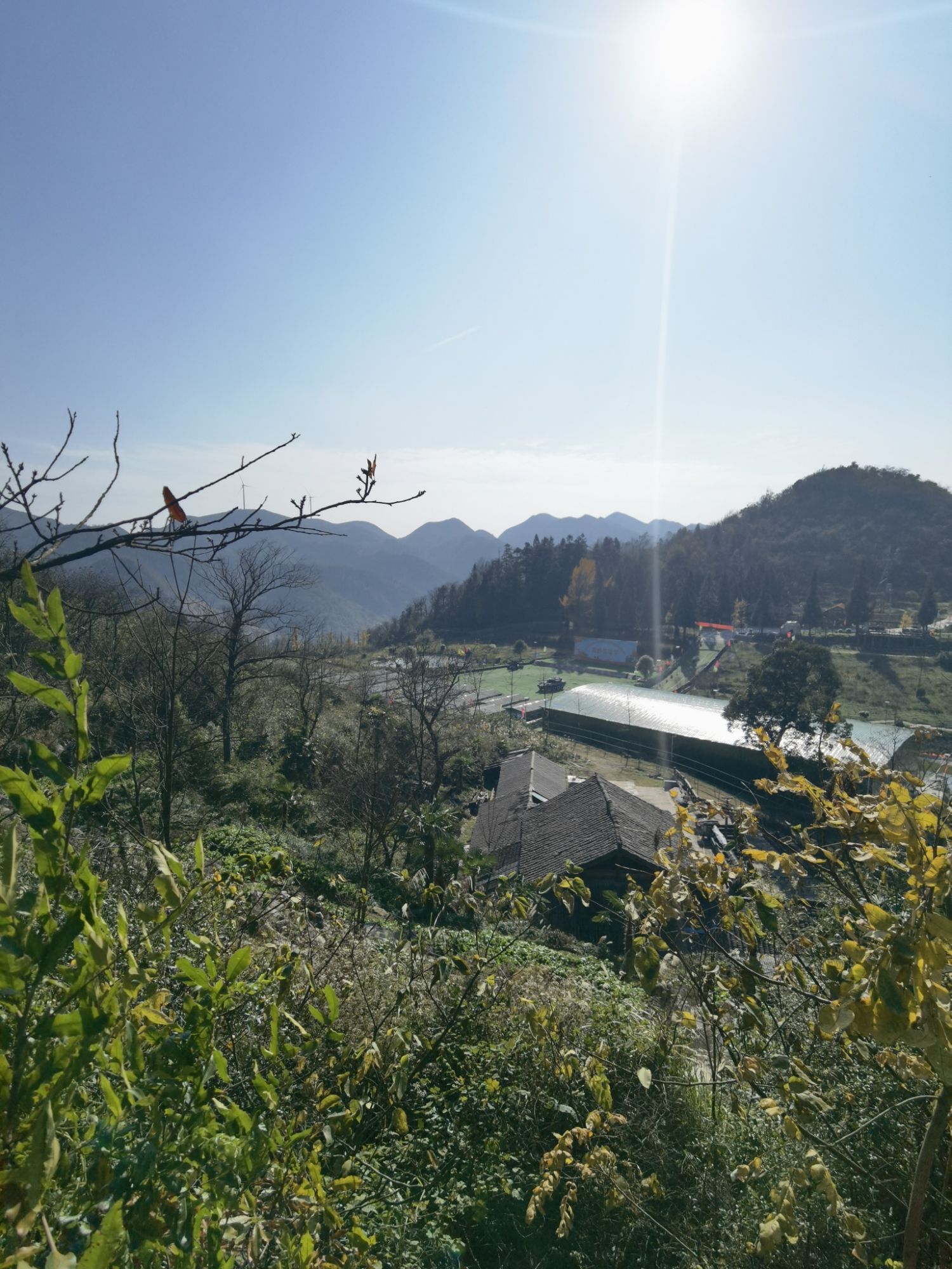 古银杏群景区旅行图片 1