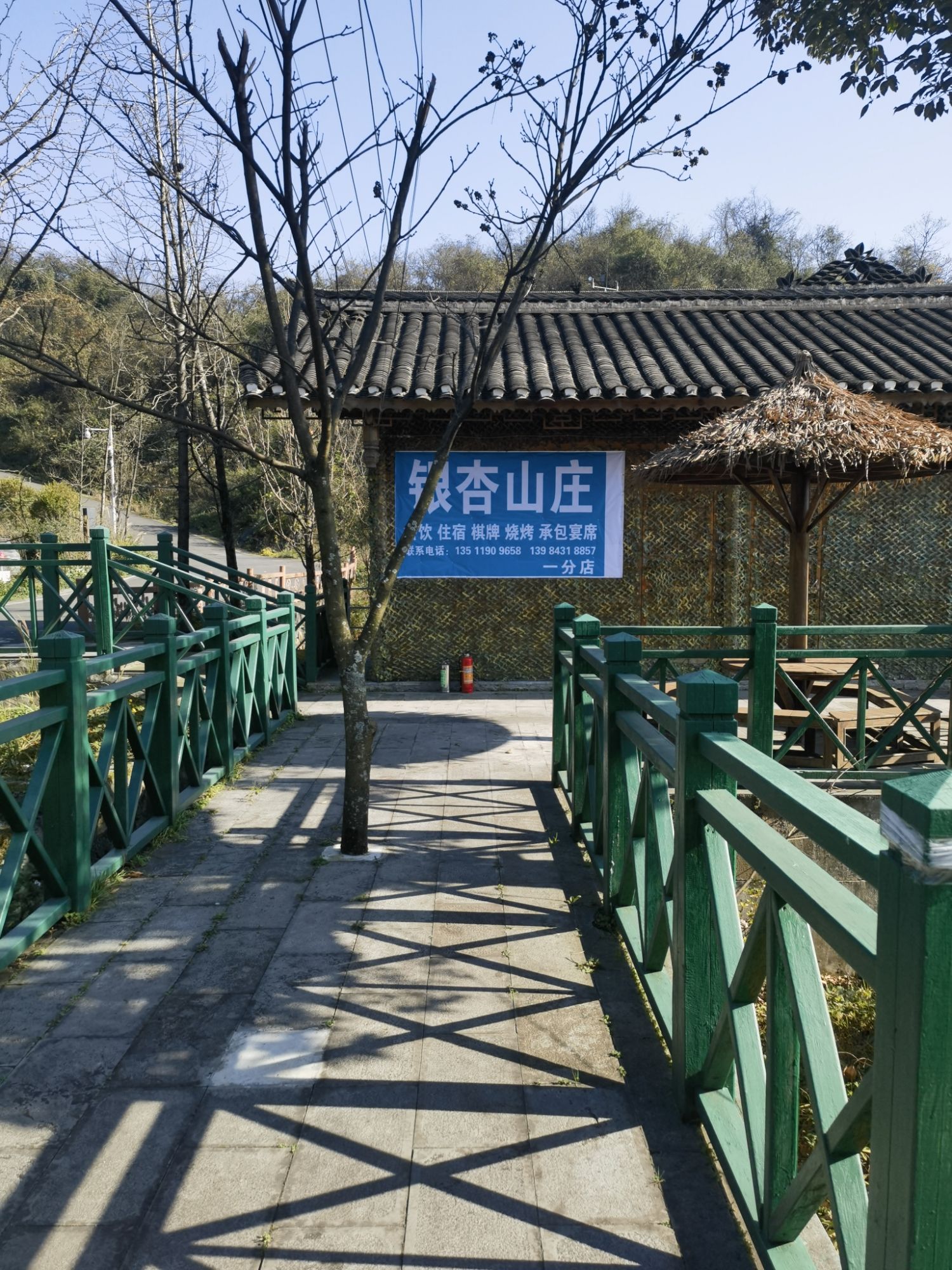 古银杏群景区旅行图片 3