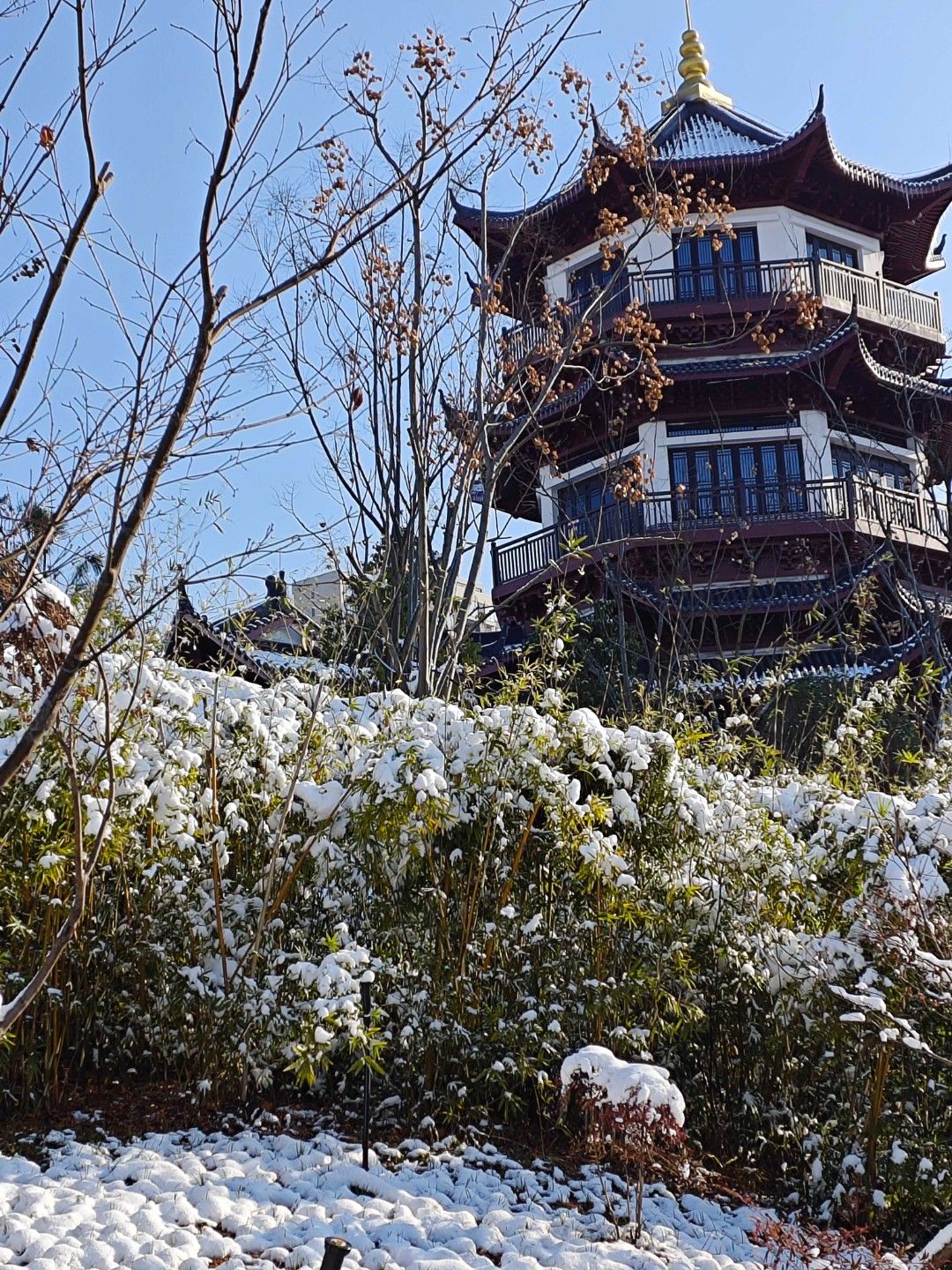 曲艺文化公园旅行图片 3