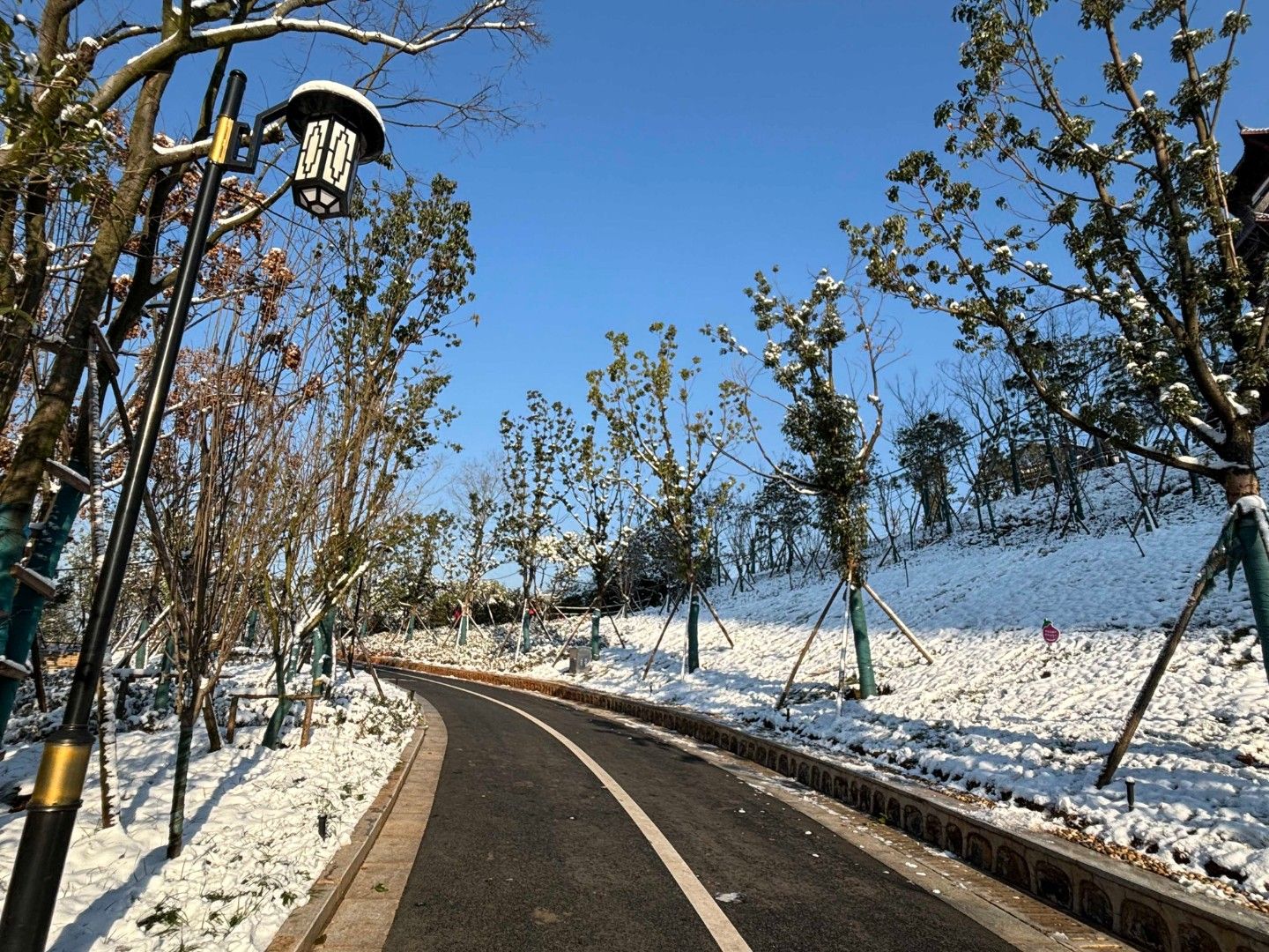曲艺文化公园旅行图片 1