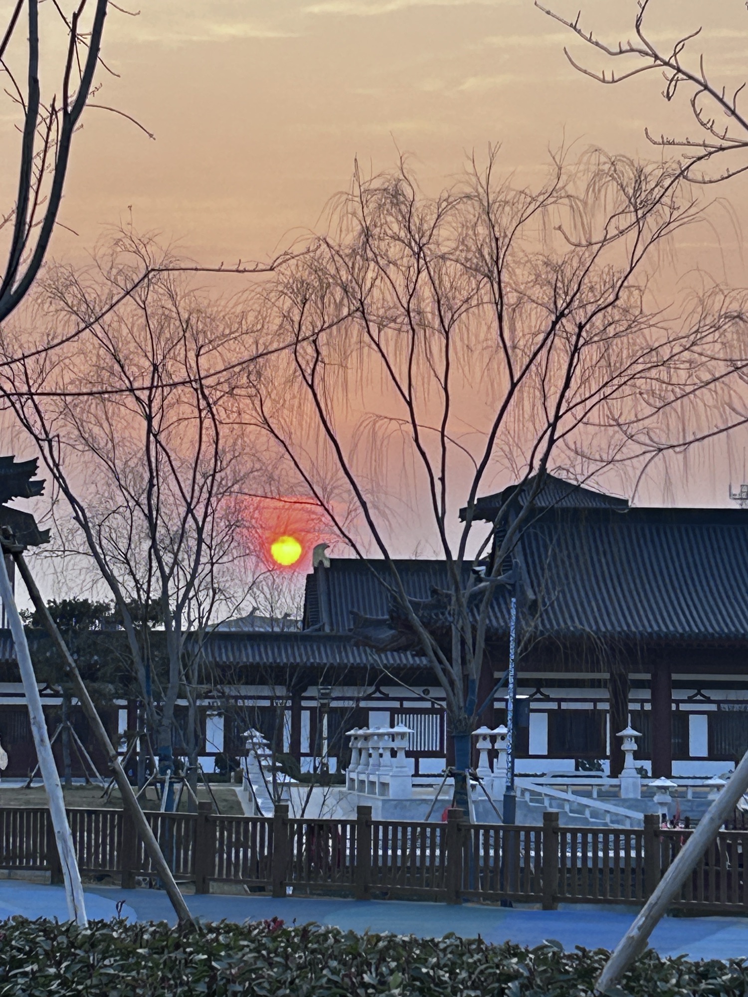 皂河龙运城旅行图片 2