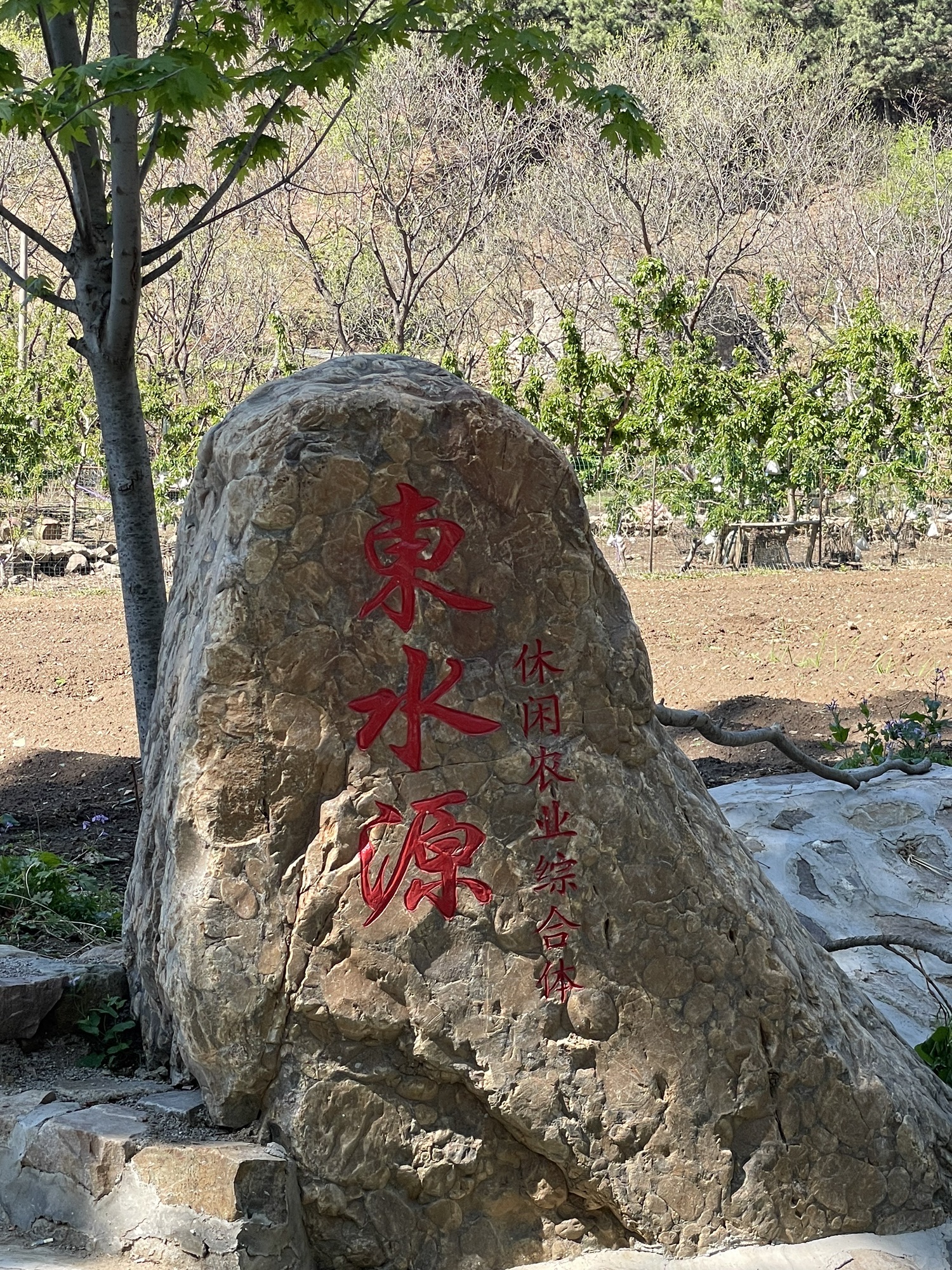 场地封面-东水源公社