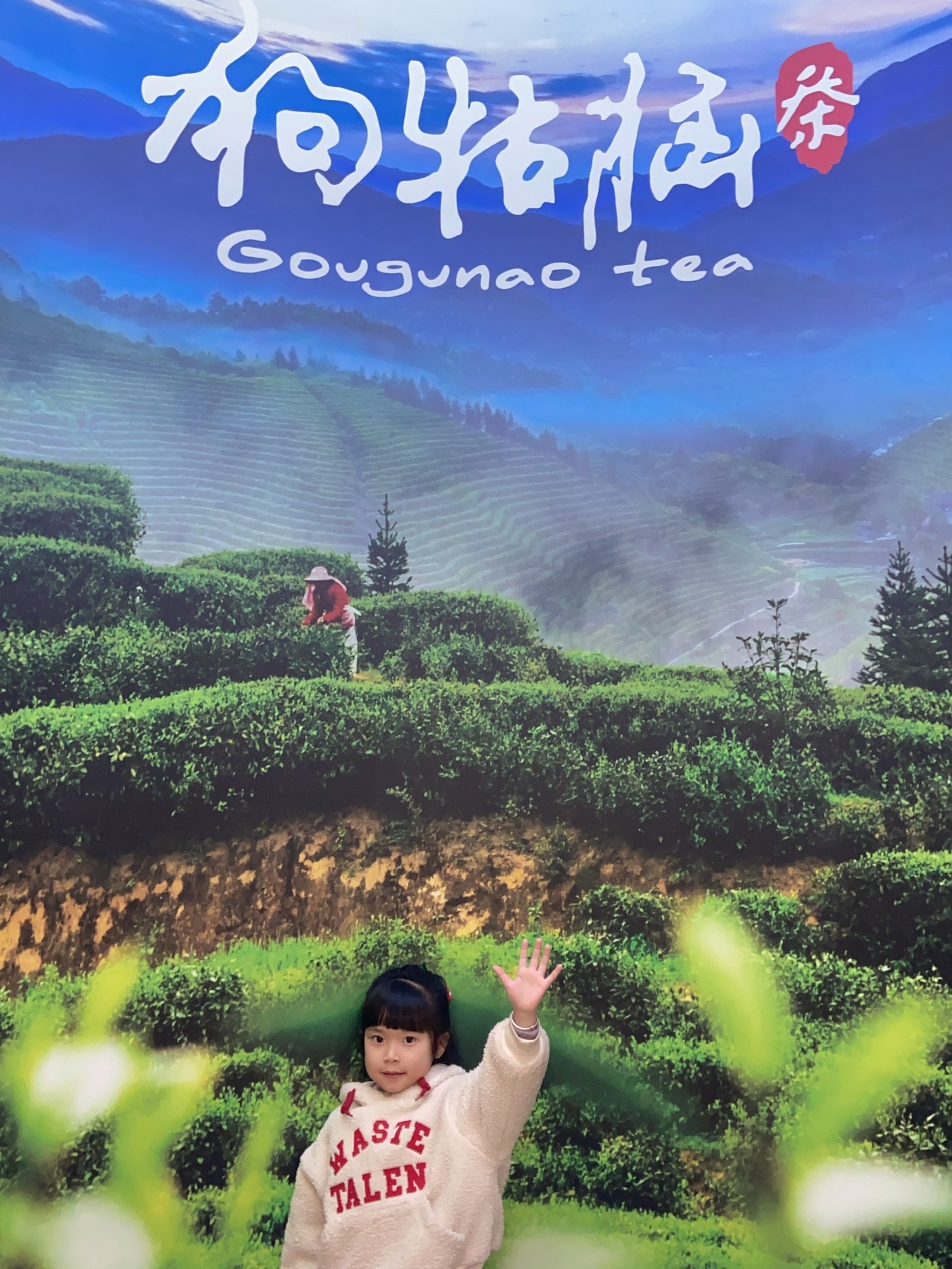遂川县城南茶香公园旅行图片 2
