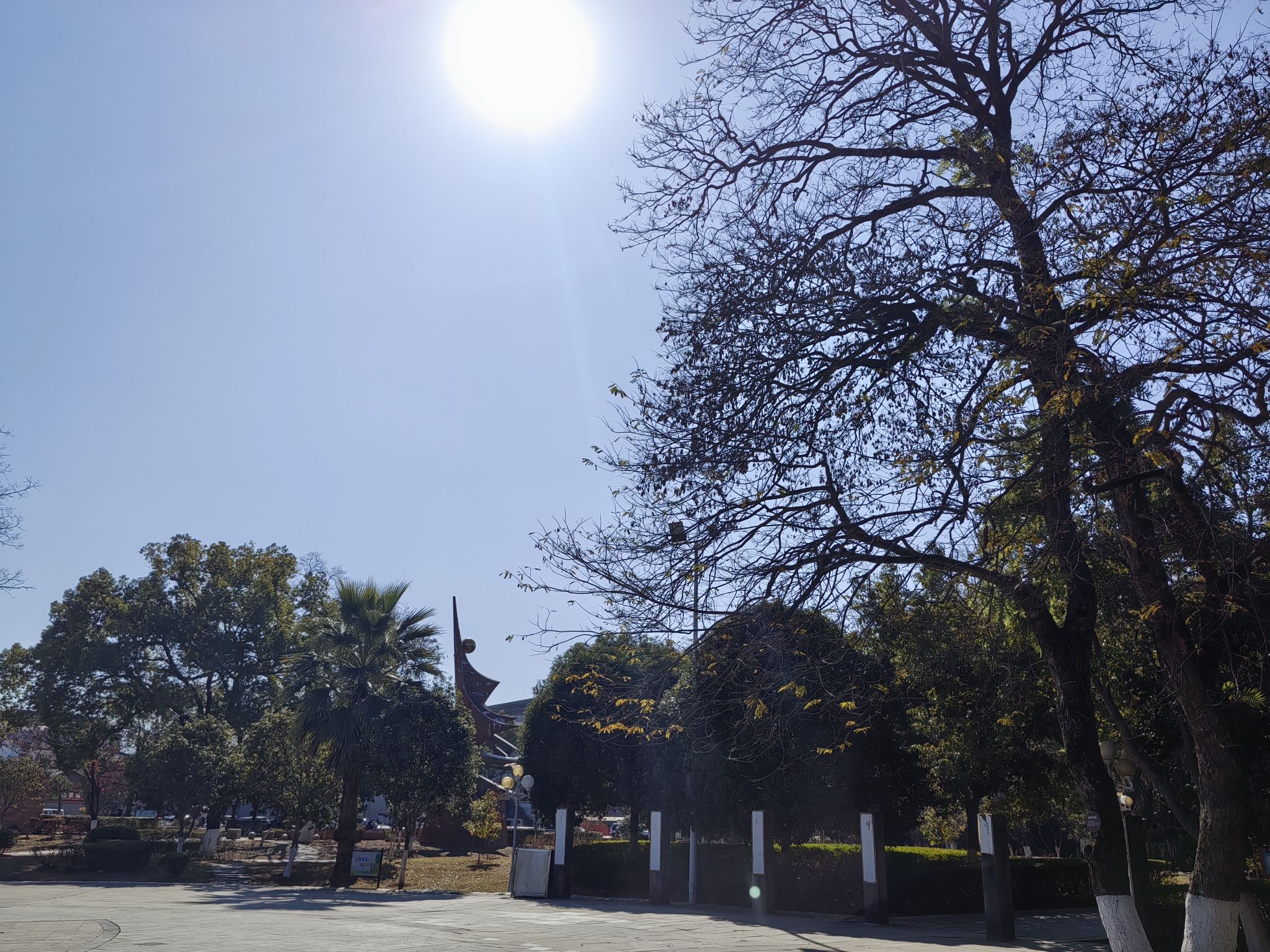 遂川县城南茶香公园旅行图片 2