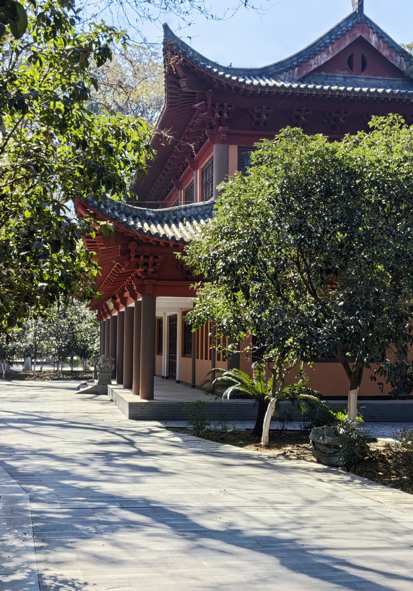 遂川县城南茶香公园旅行图片 1
