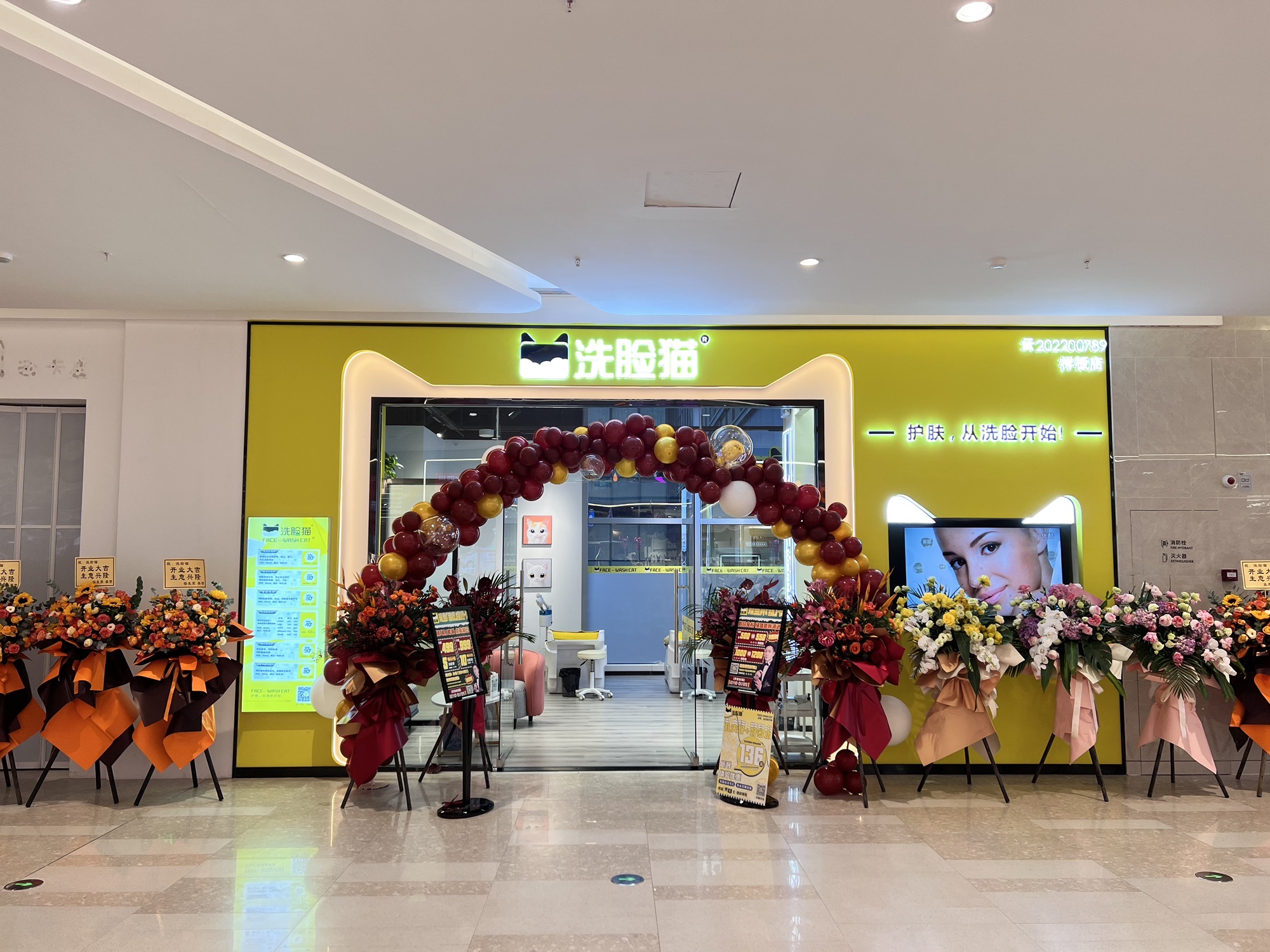 洗脸猫·洗脸吧(海乐世界店)