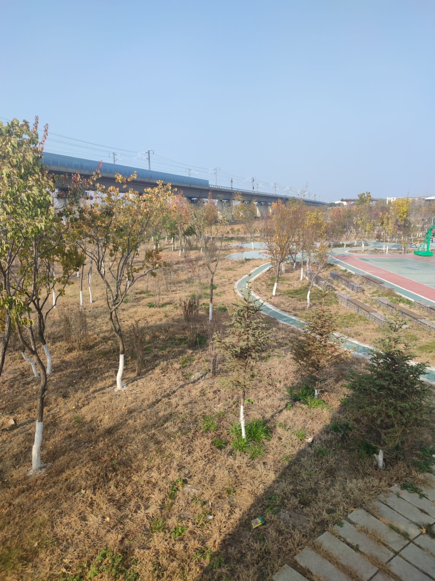 四季园旅行图片 1