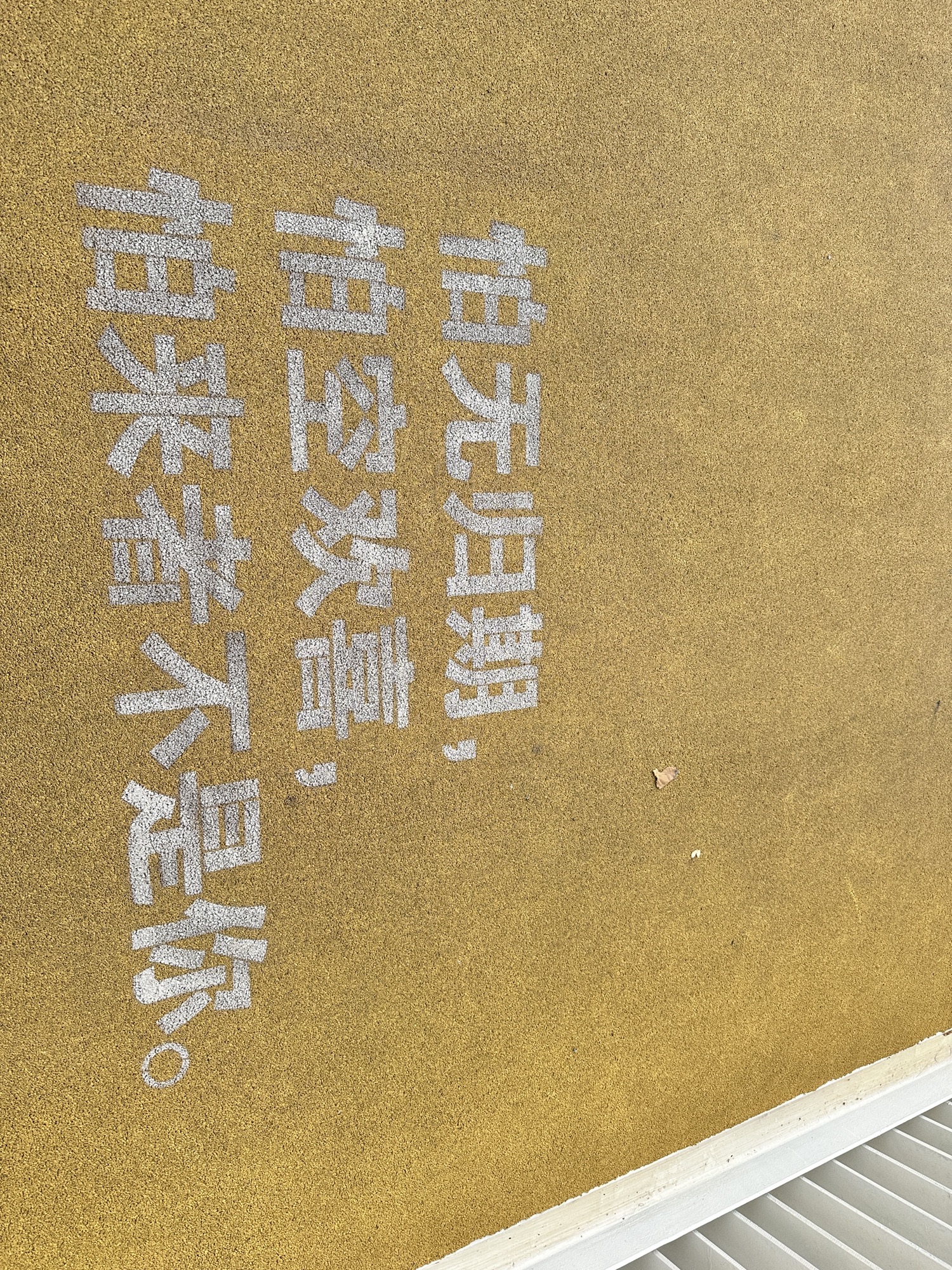 龙阳半岛园区旅行图片 1