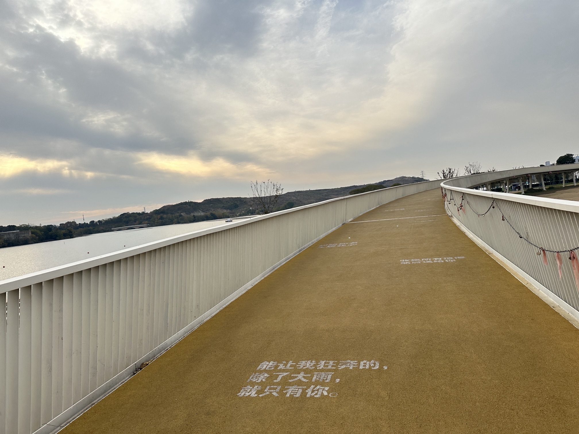 龙阳半岛园区旅行图片 2
